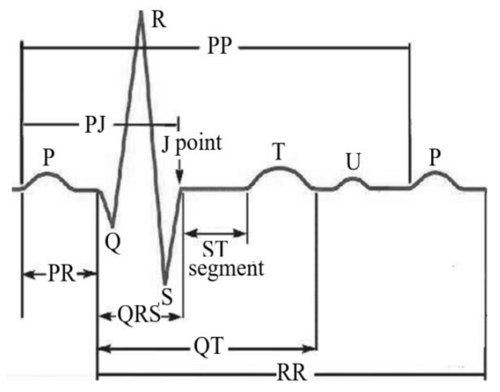 Applsci 12 04998 g010