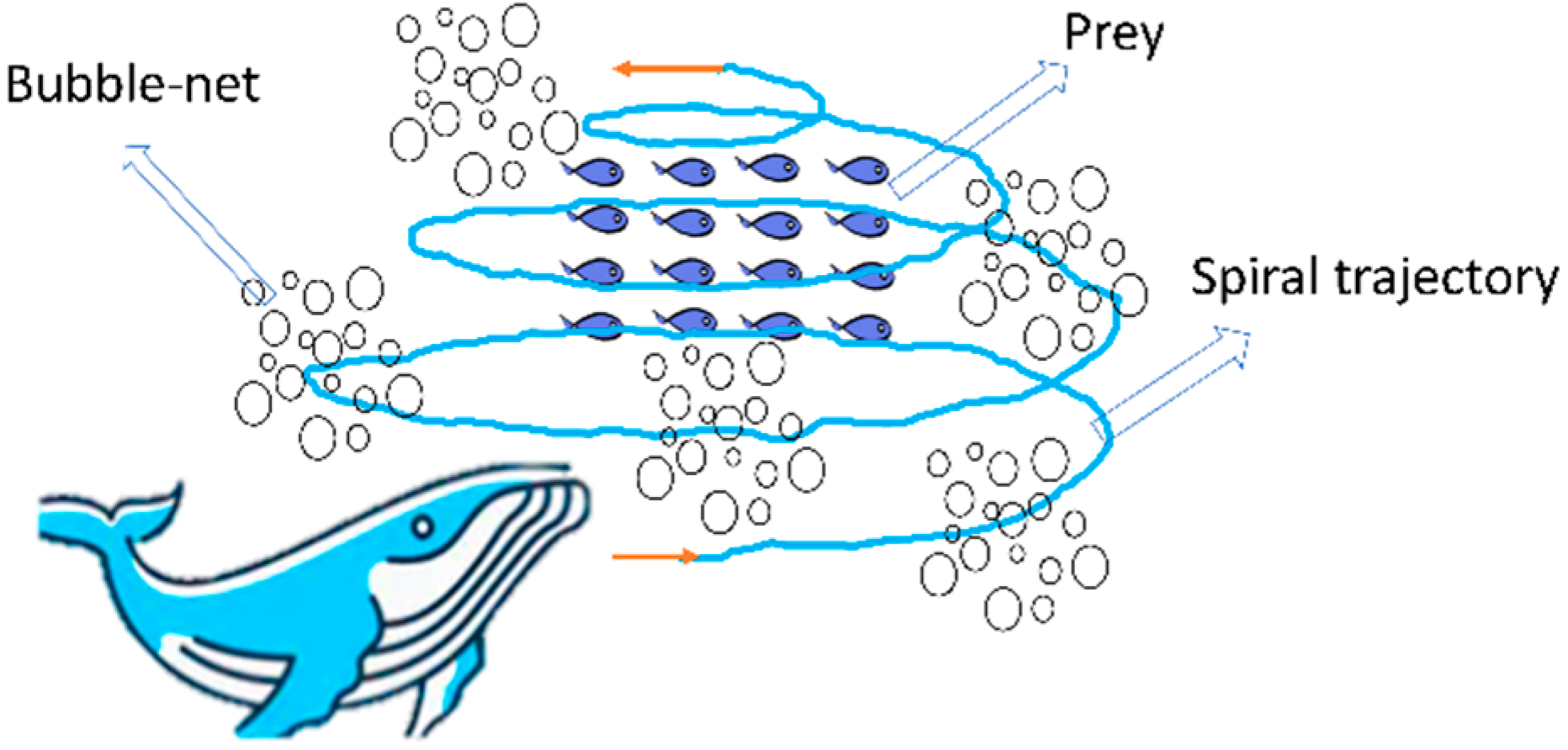 Applsci 12 05019 g003
