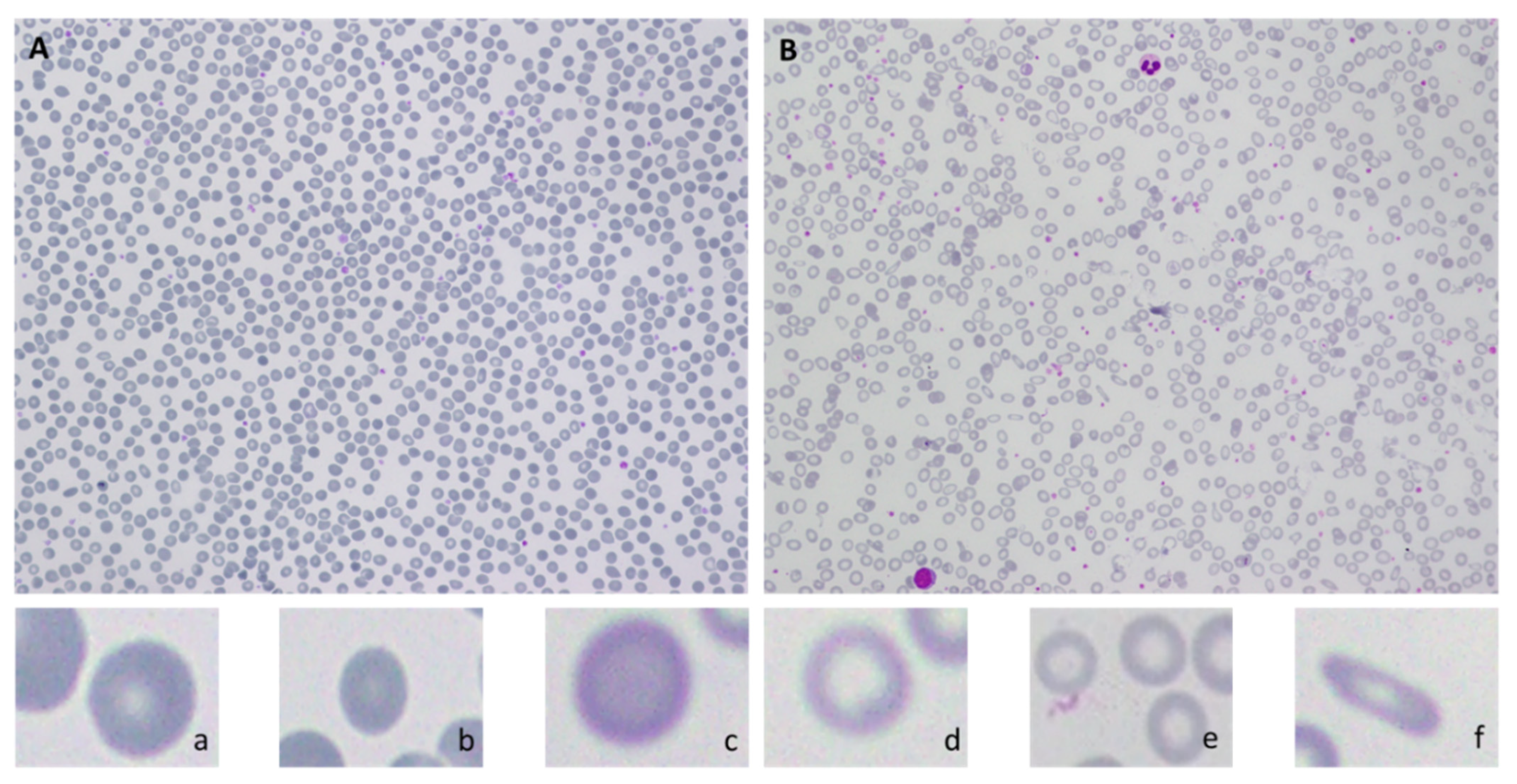 Applsci 12 05030 g002