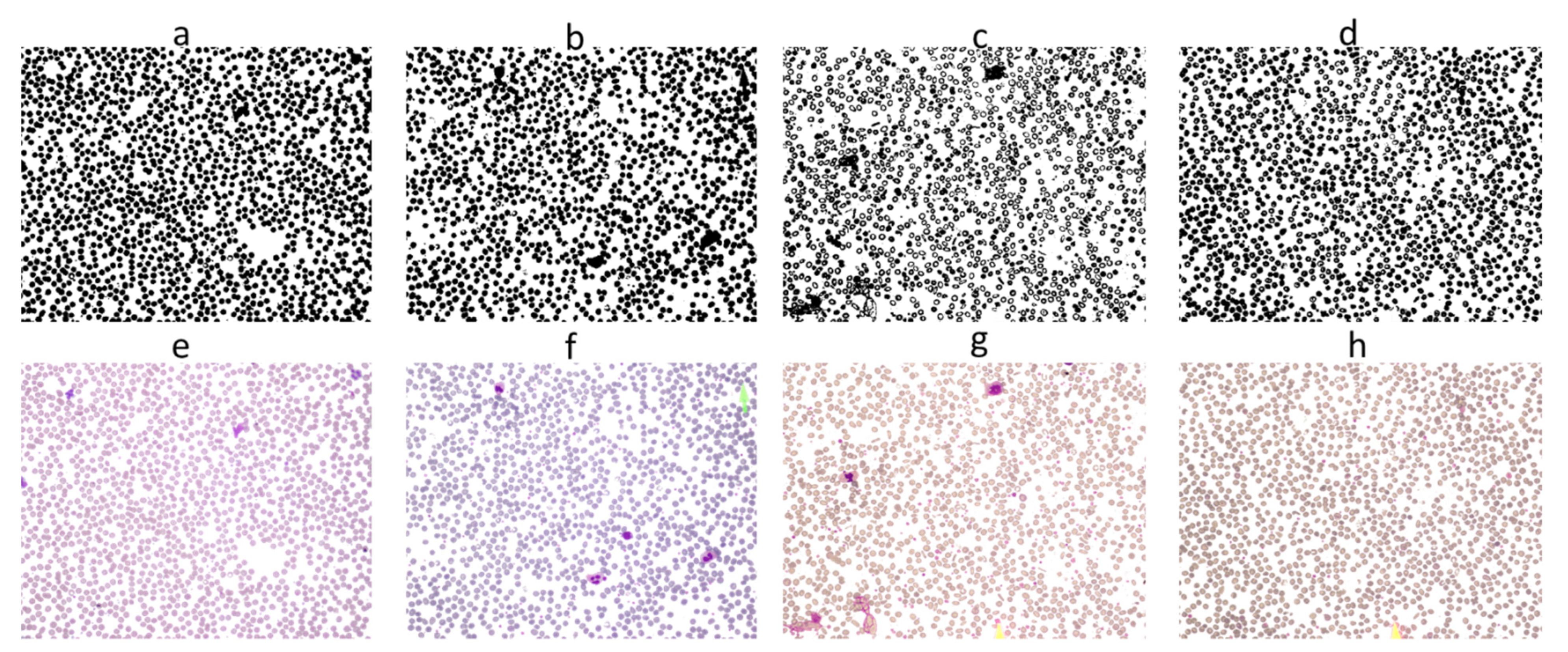 Applsci 12 05030 g004