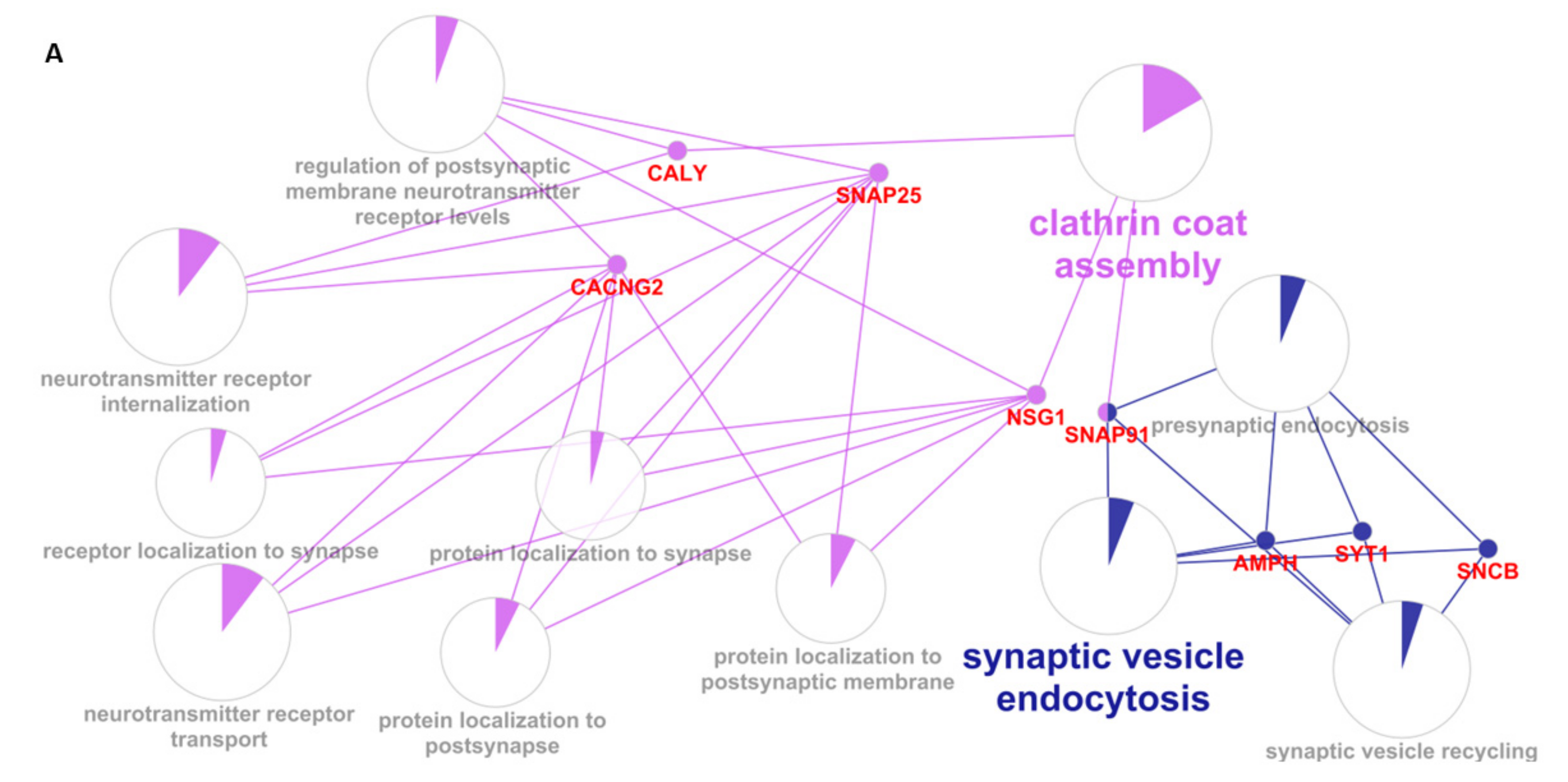 Applsci 12 05035 g005a