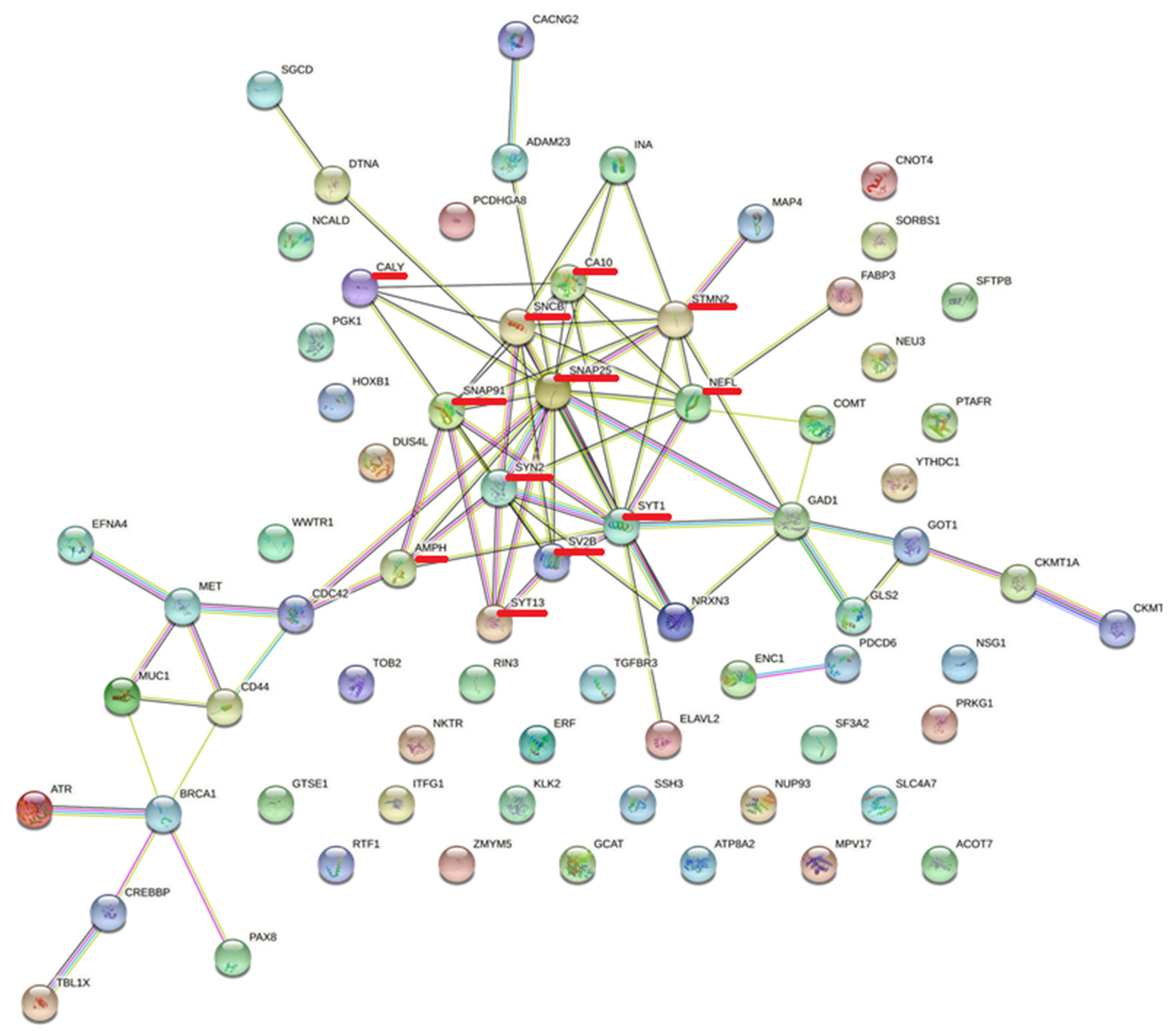 Applsci 12 05035 g006