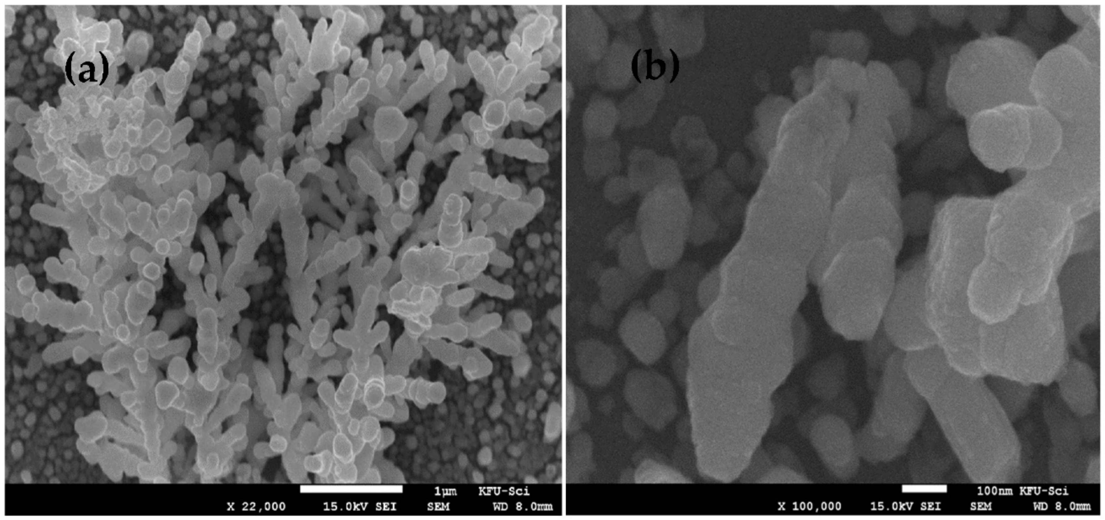 Applsci 12 05039 g002