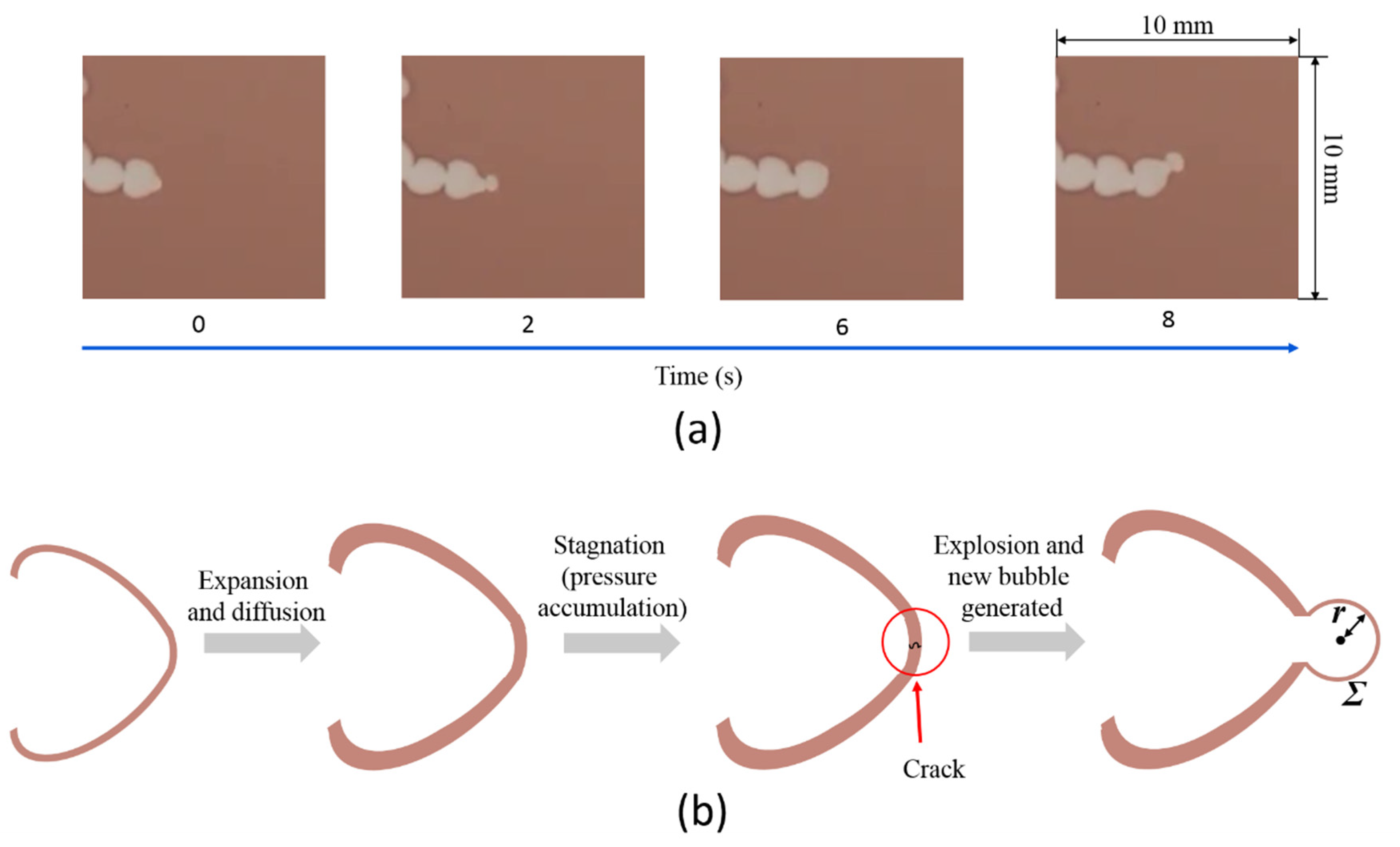 Applsci 12 05043 g008 550