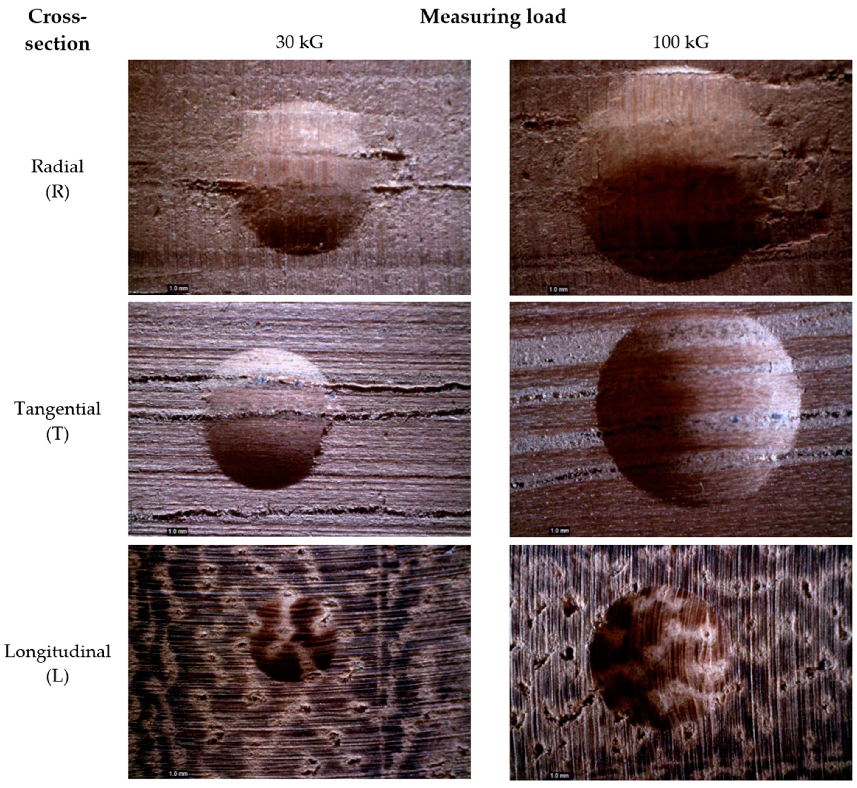 Applsci 12 05049 g003