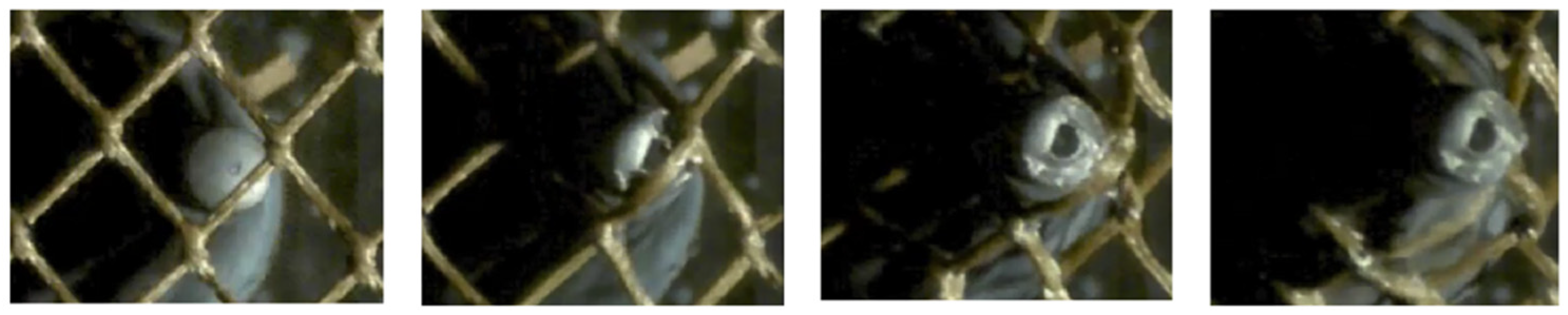 Applsci 12 05064 g009