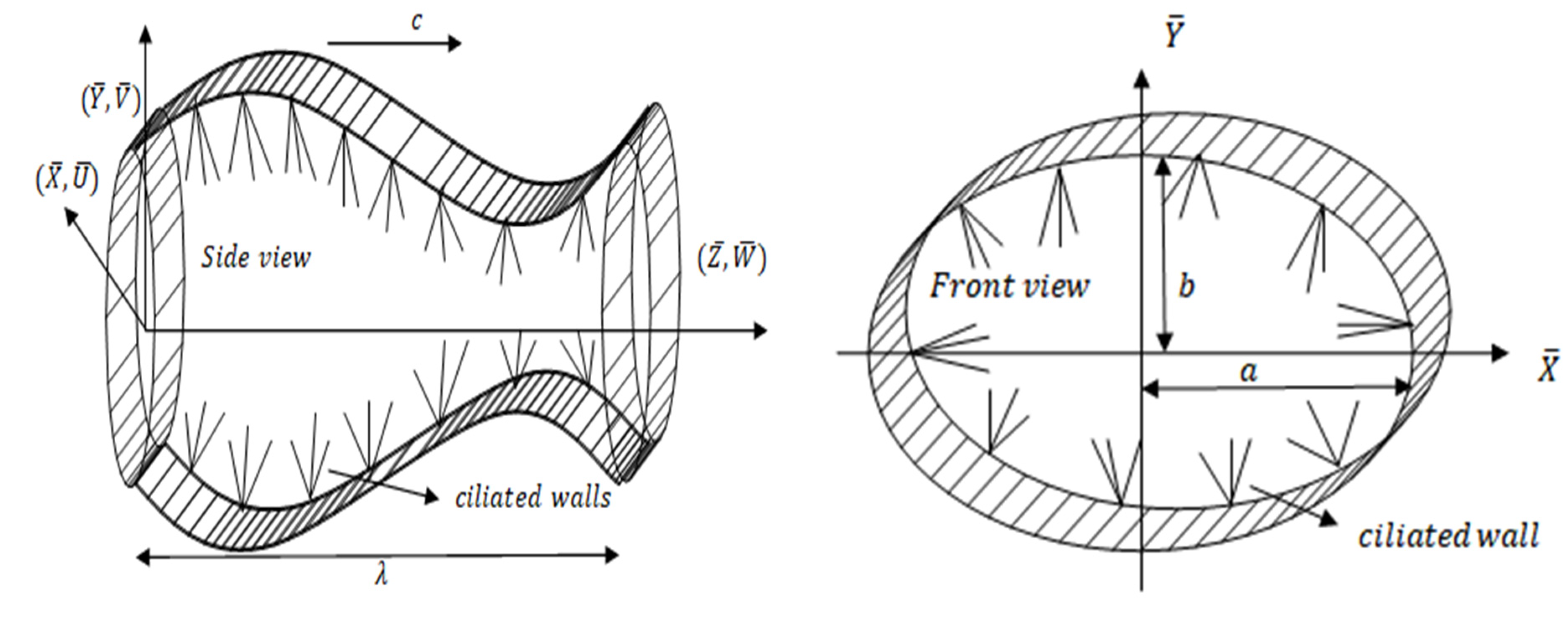 Applsci 12 05065 g001