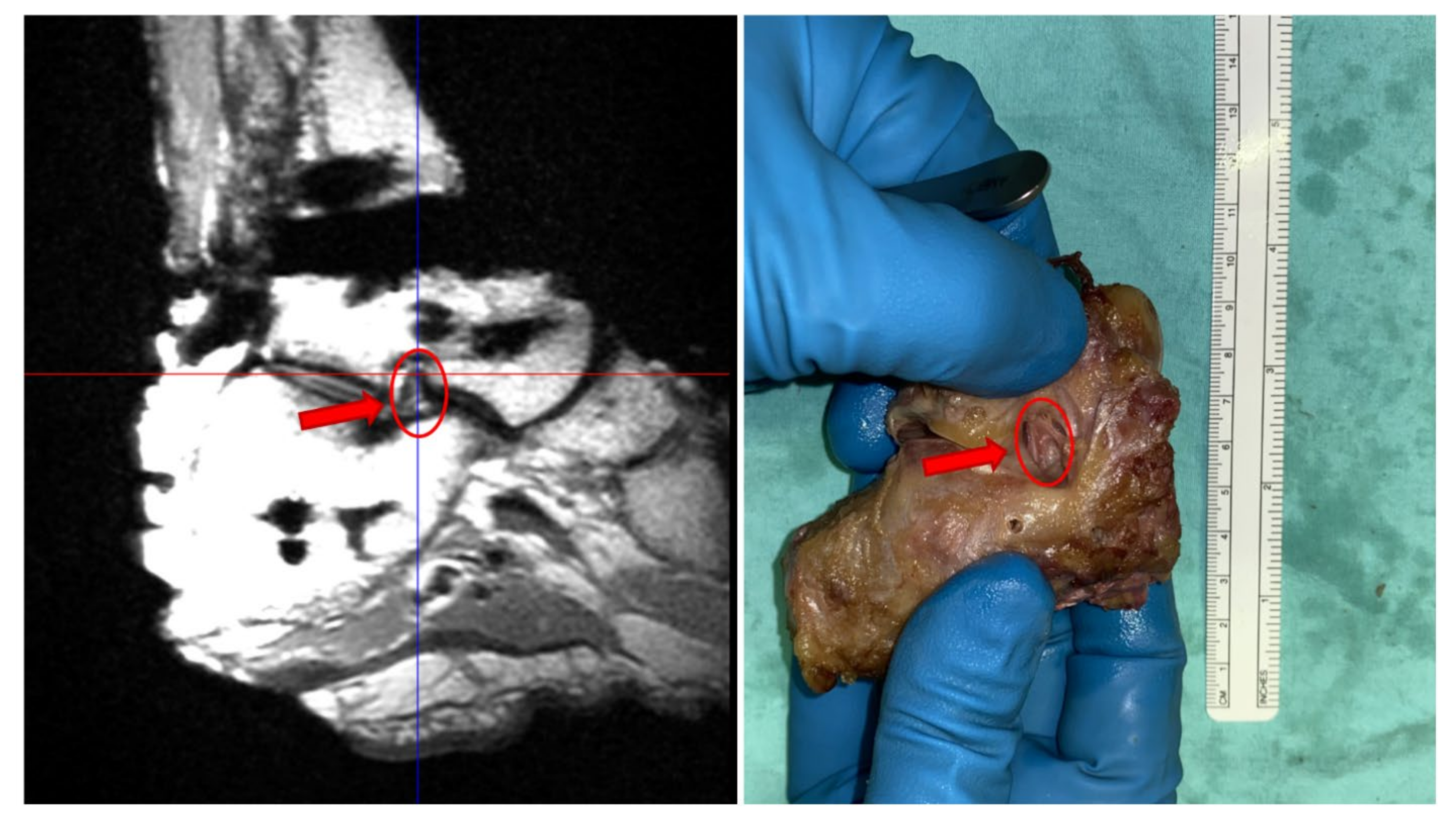 Applsci 12 05087 g002 550