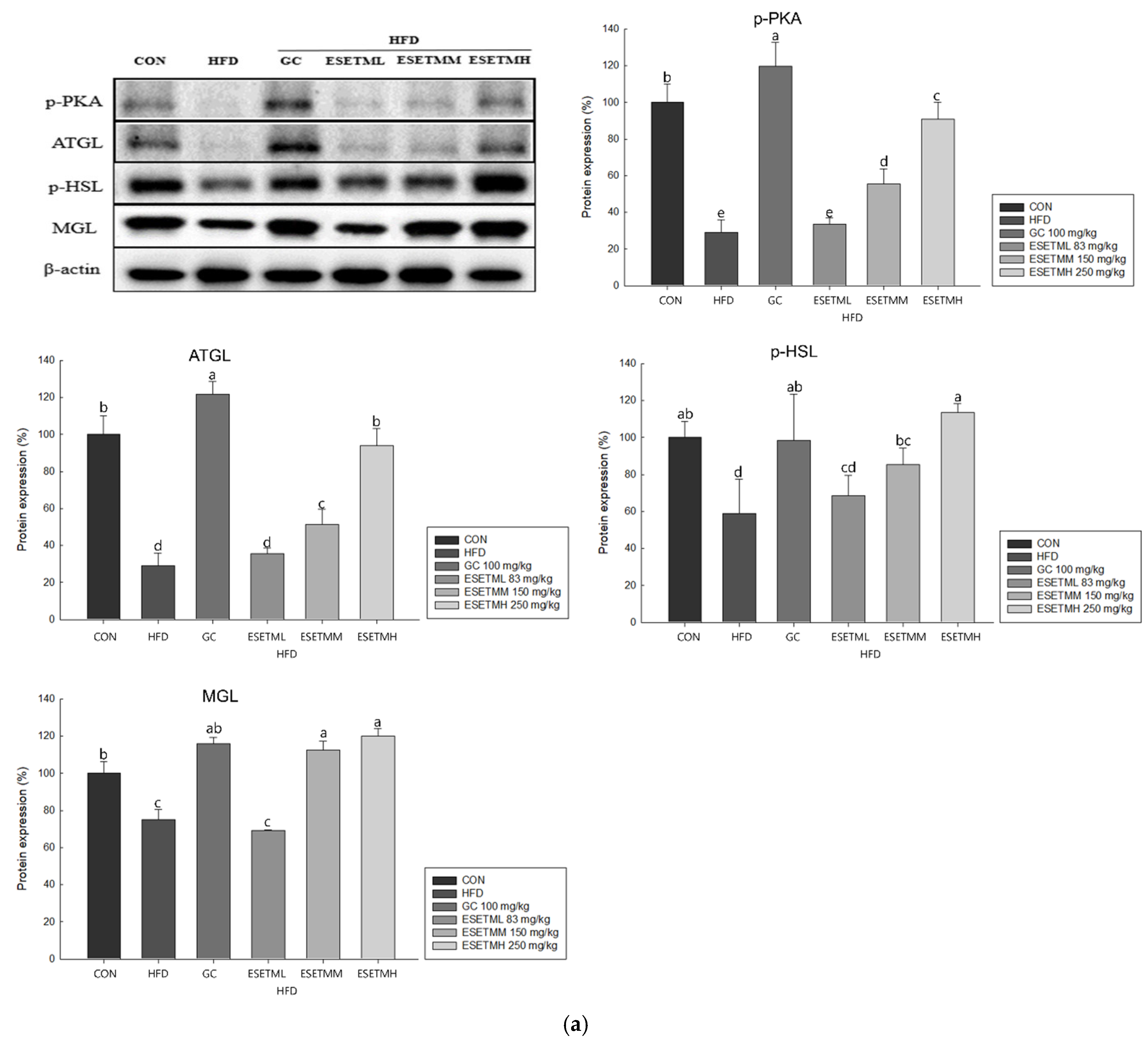 Applsci 12 05115 g006a