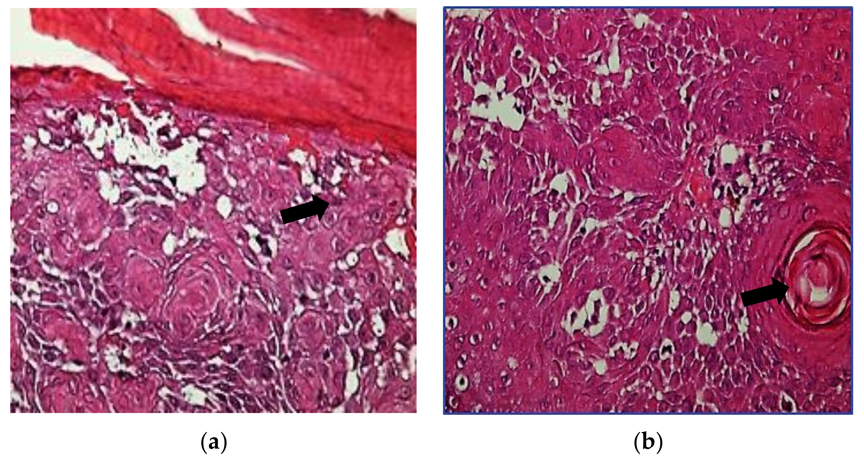 Applsci 12 05120 g001