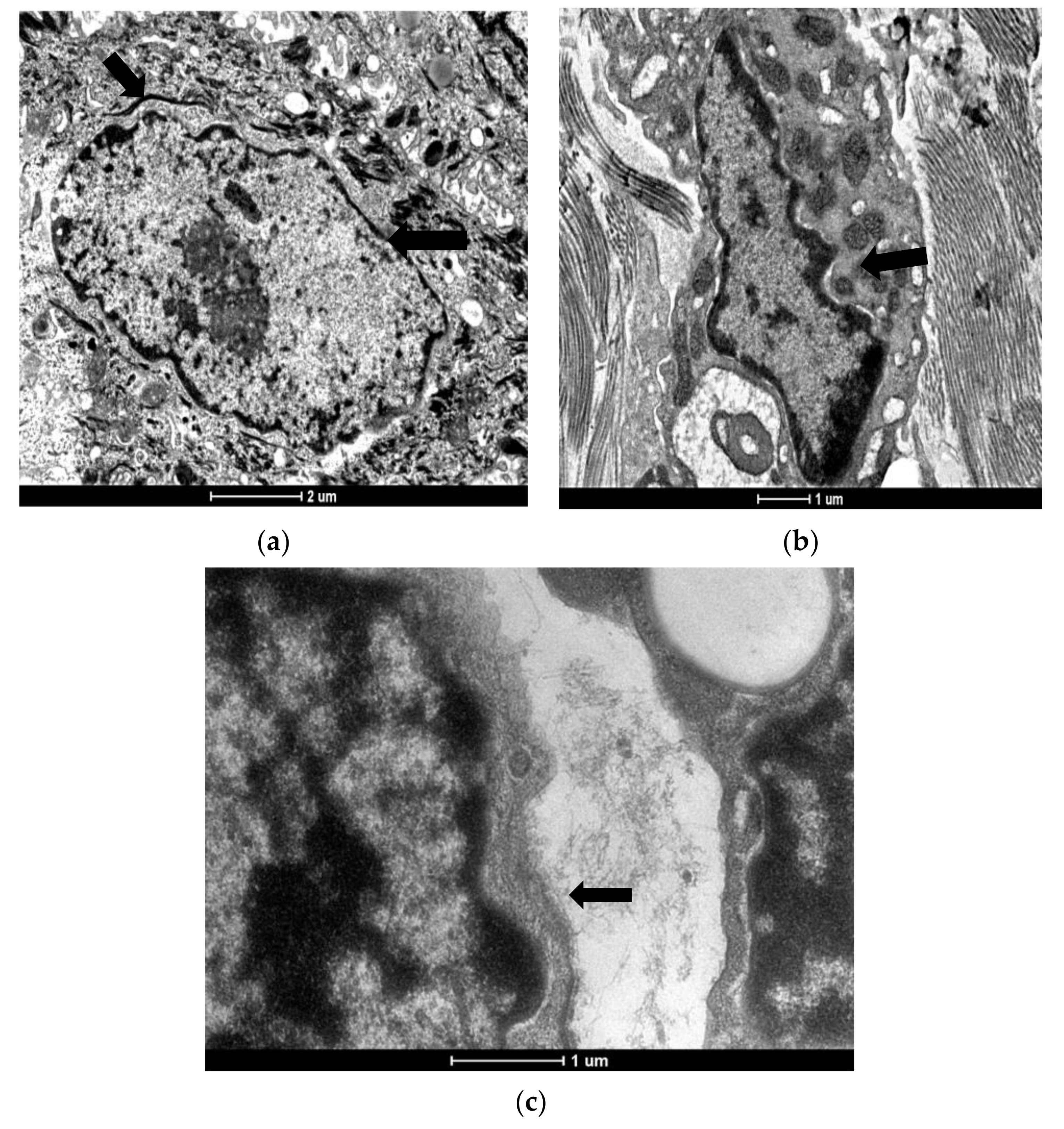 Applsci 12 05120 g002