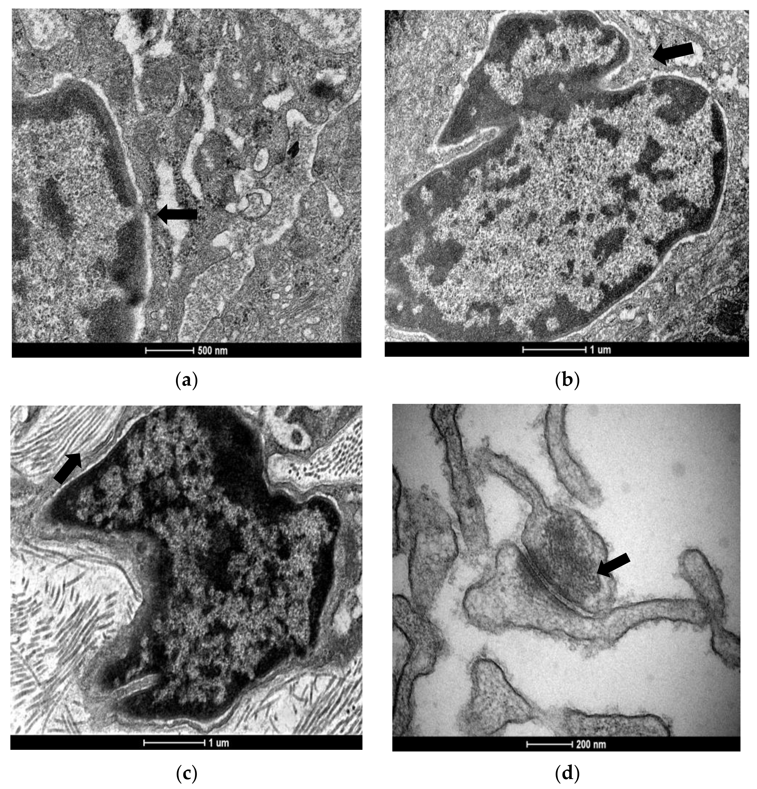 Applsci 12 05120 g003