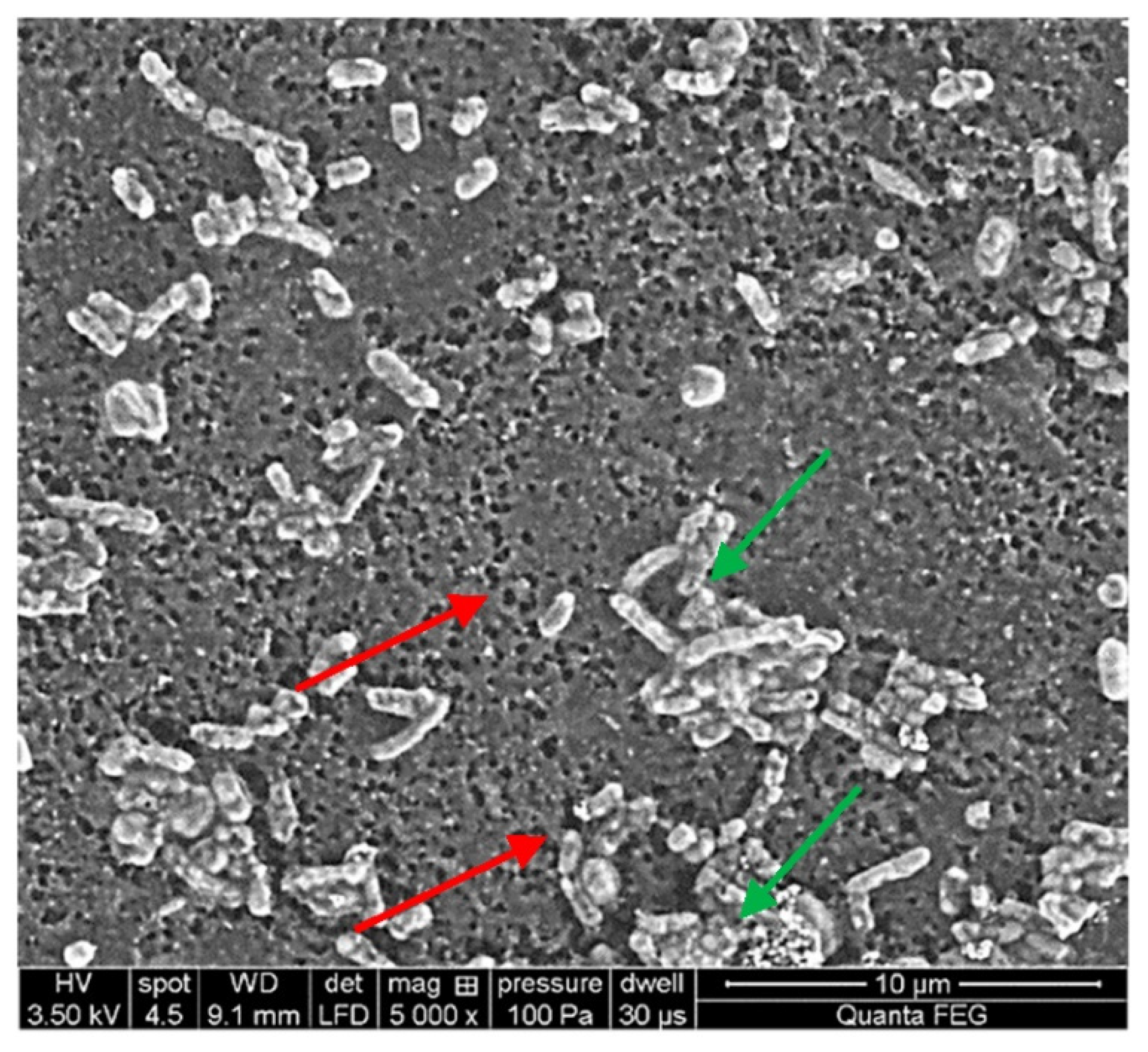 Applsci 12 05148 g004