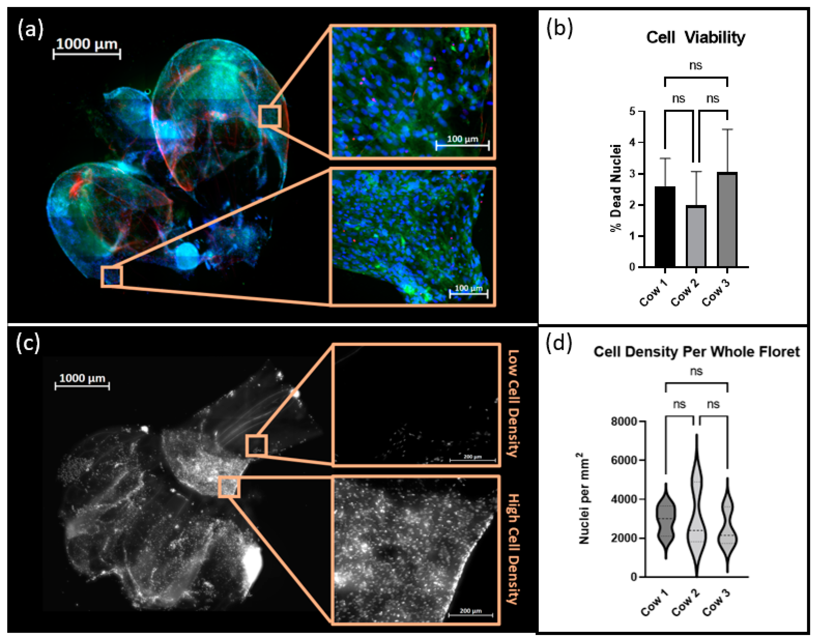 Applsci 12 05155 g005 550