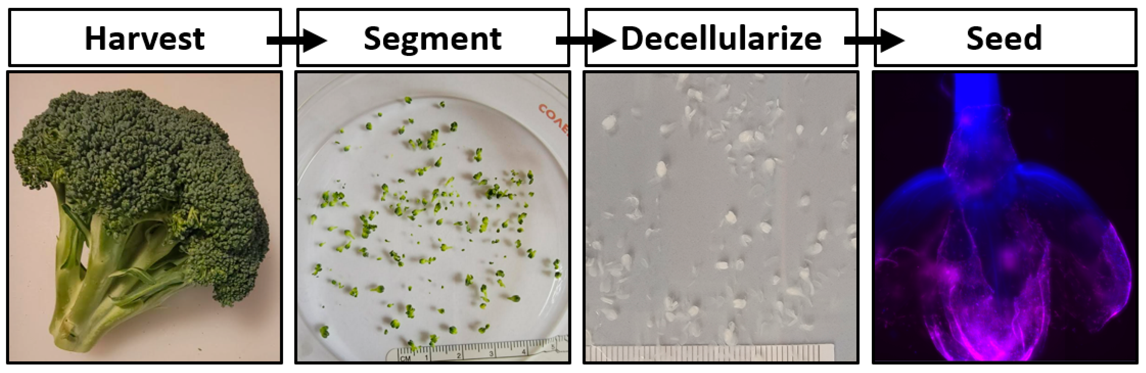 Applsci 12 05155 g006 550