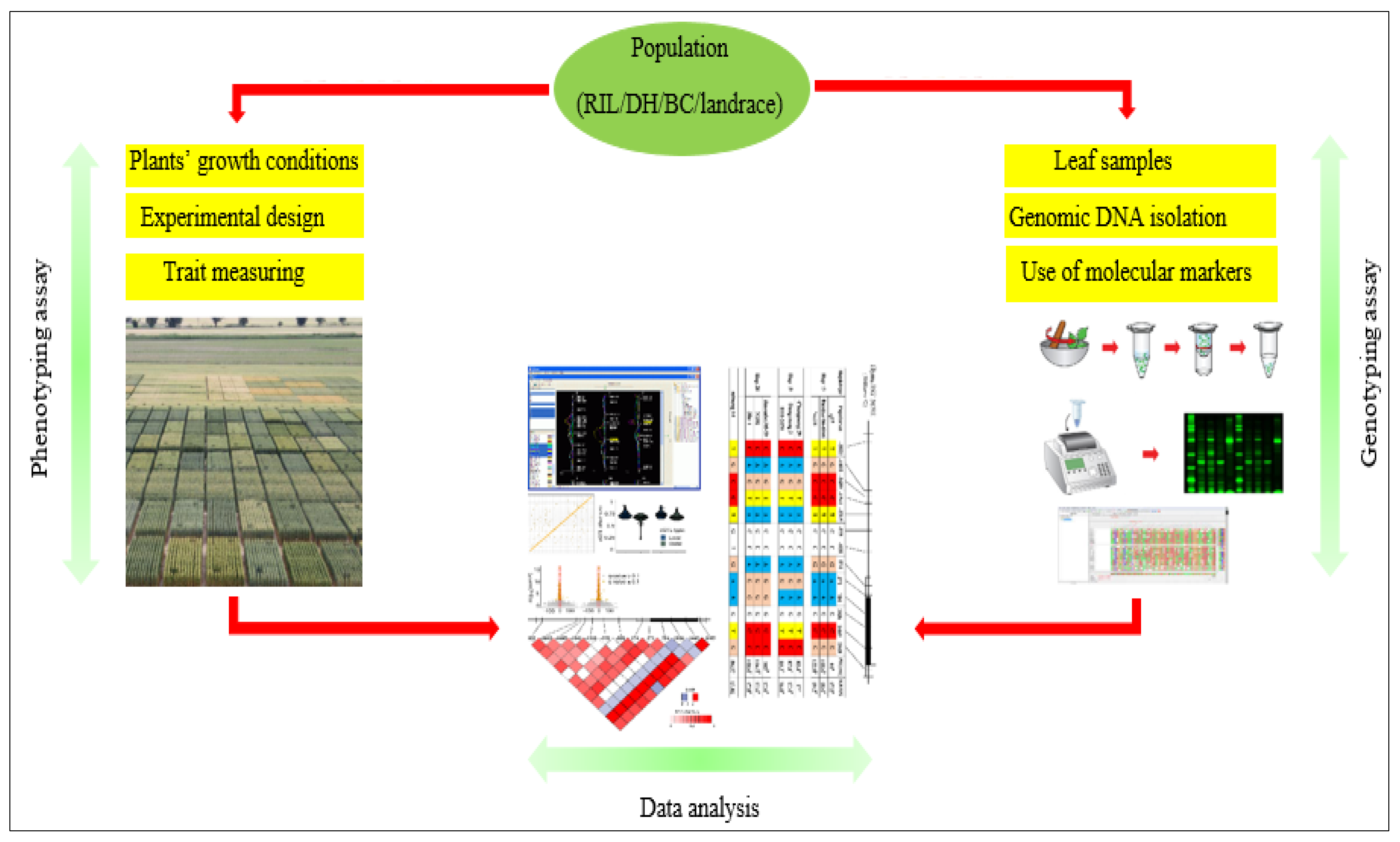 Applsci 12 05189 g001