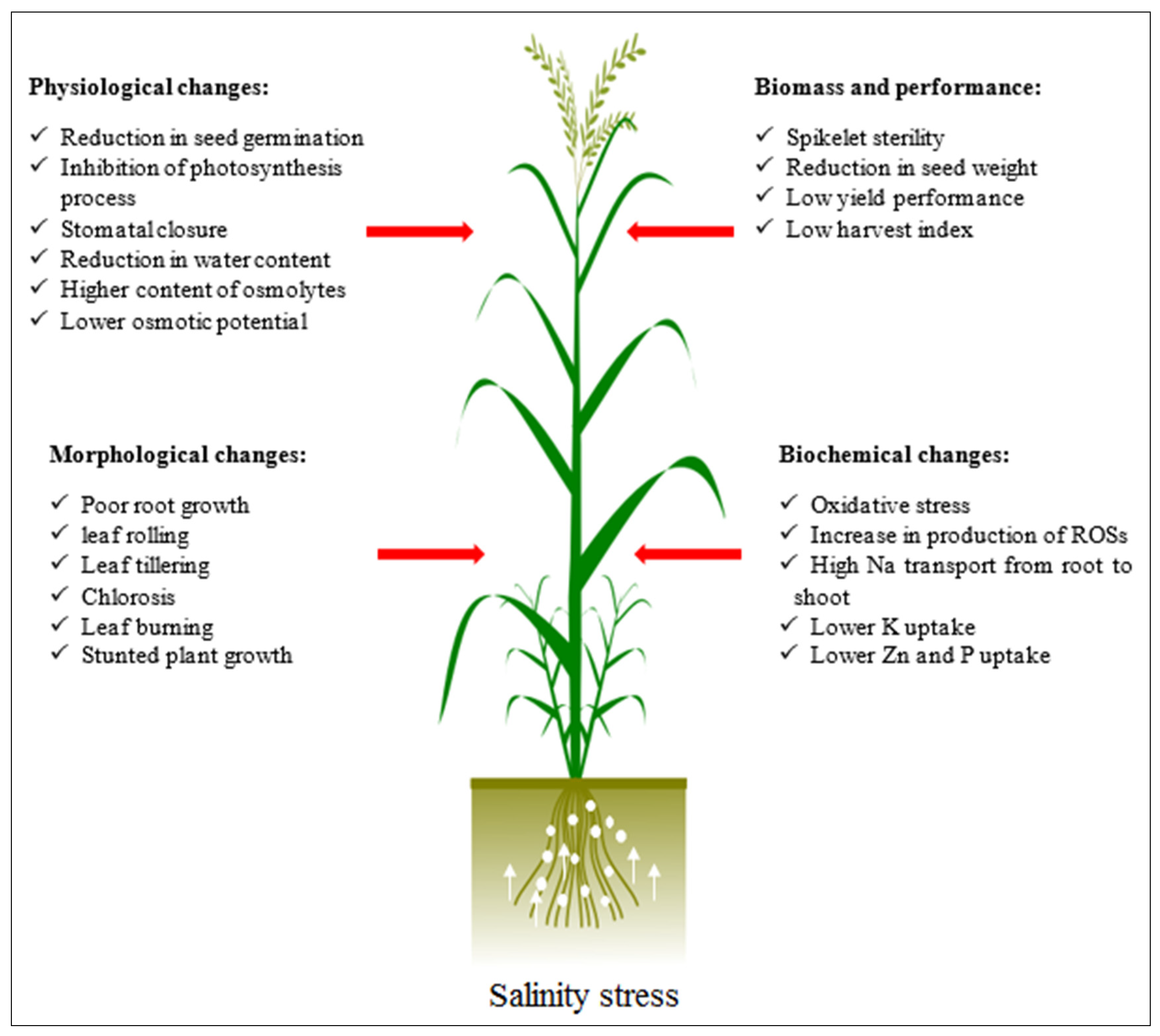 Applsci 12 05189 g002