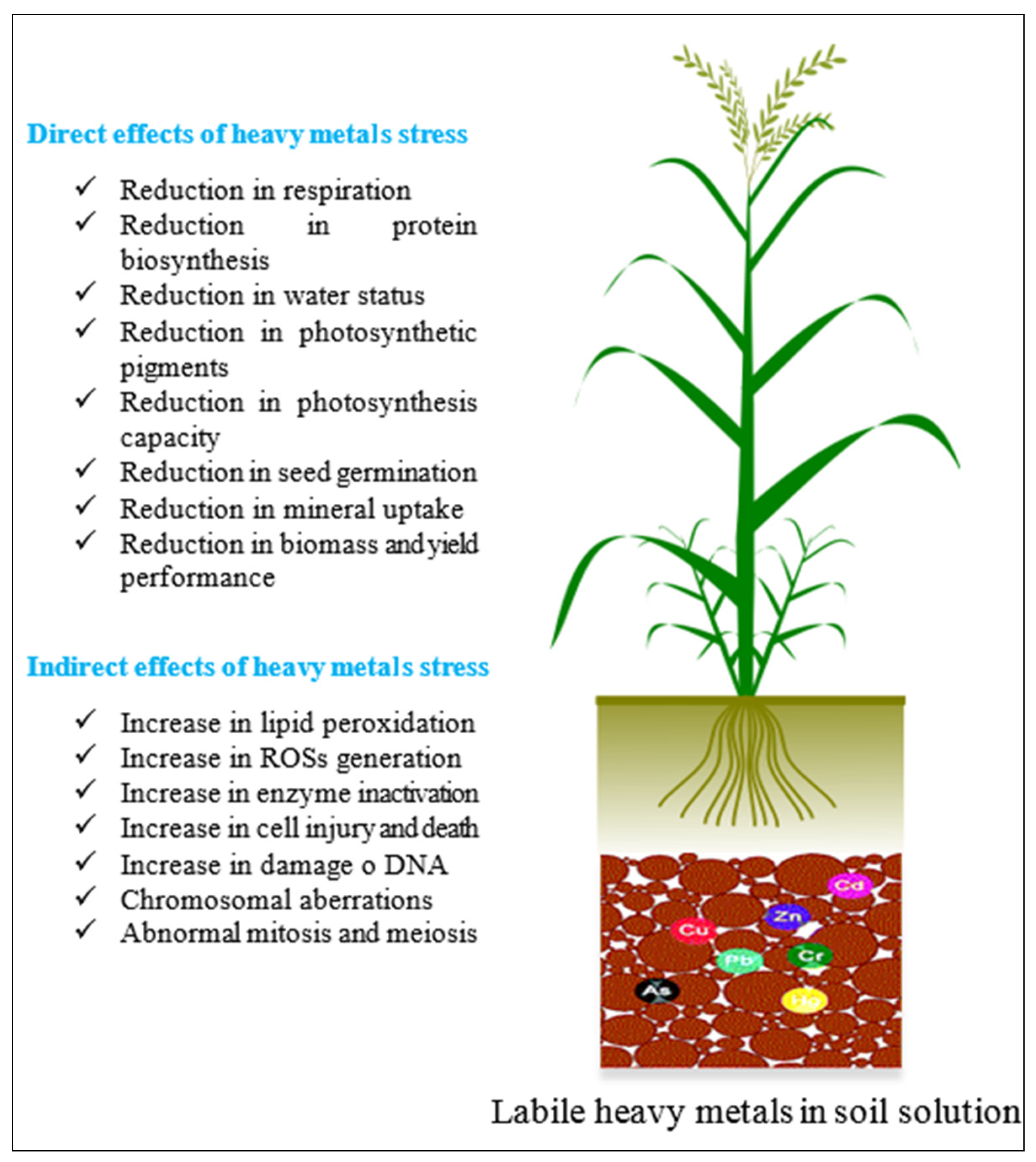 Applsci 12 05189 g006