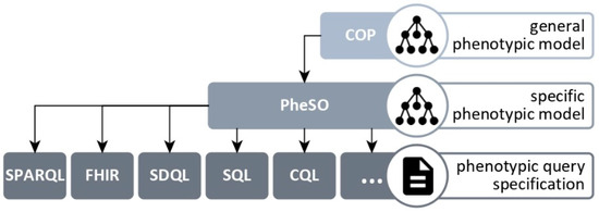 A new synonym-substitution method to enrich the human phenotype