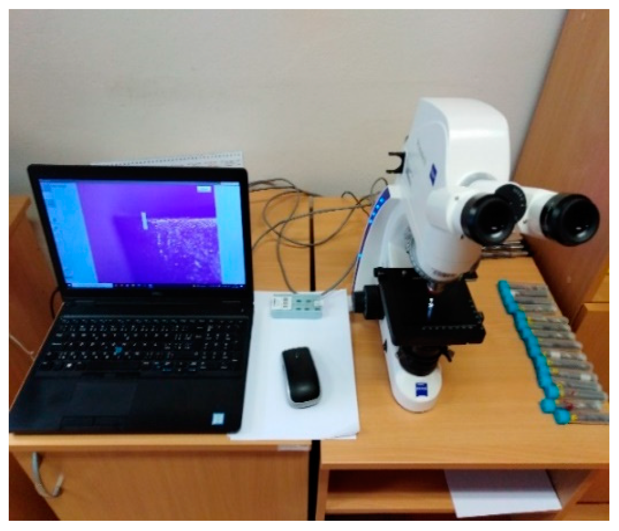 Applsci 12 05266 g008