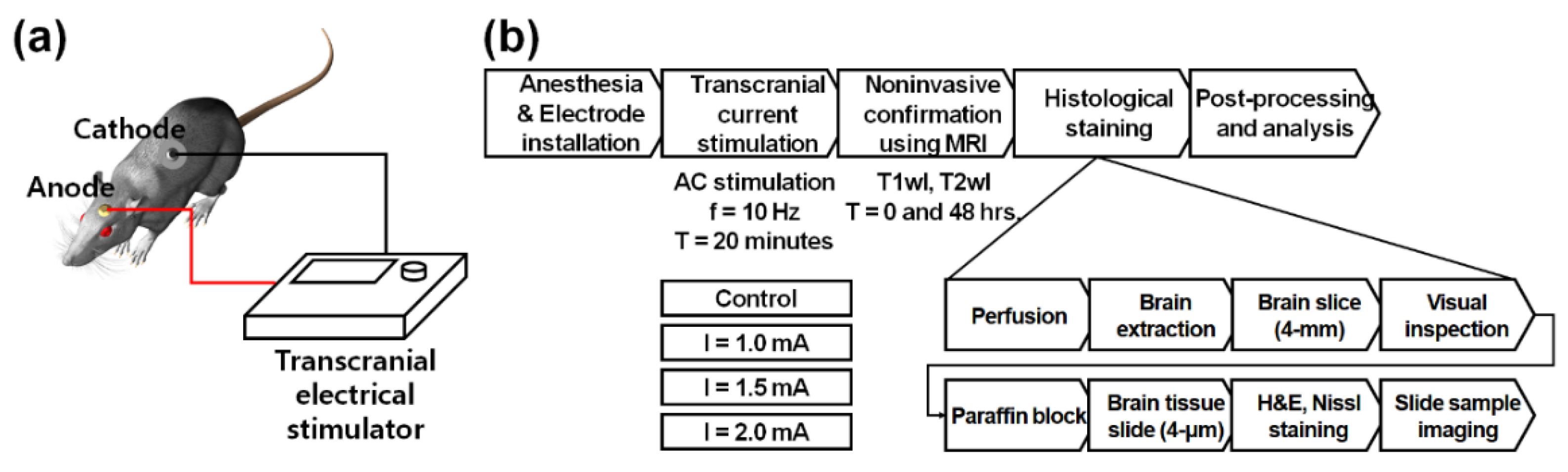 Applied Sciences | Free Full-Text | Preliminary Study on Safety