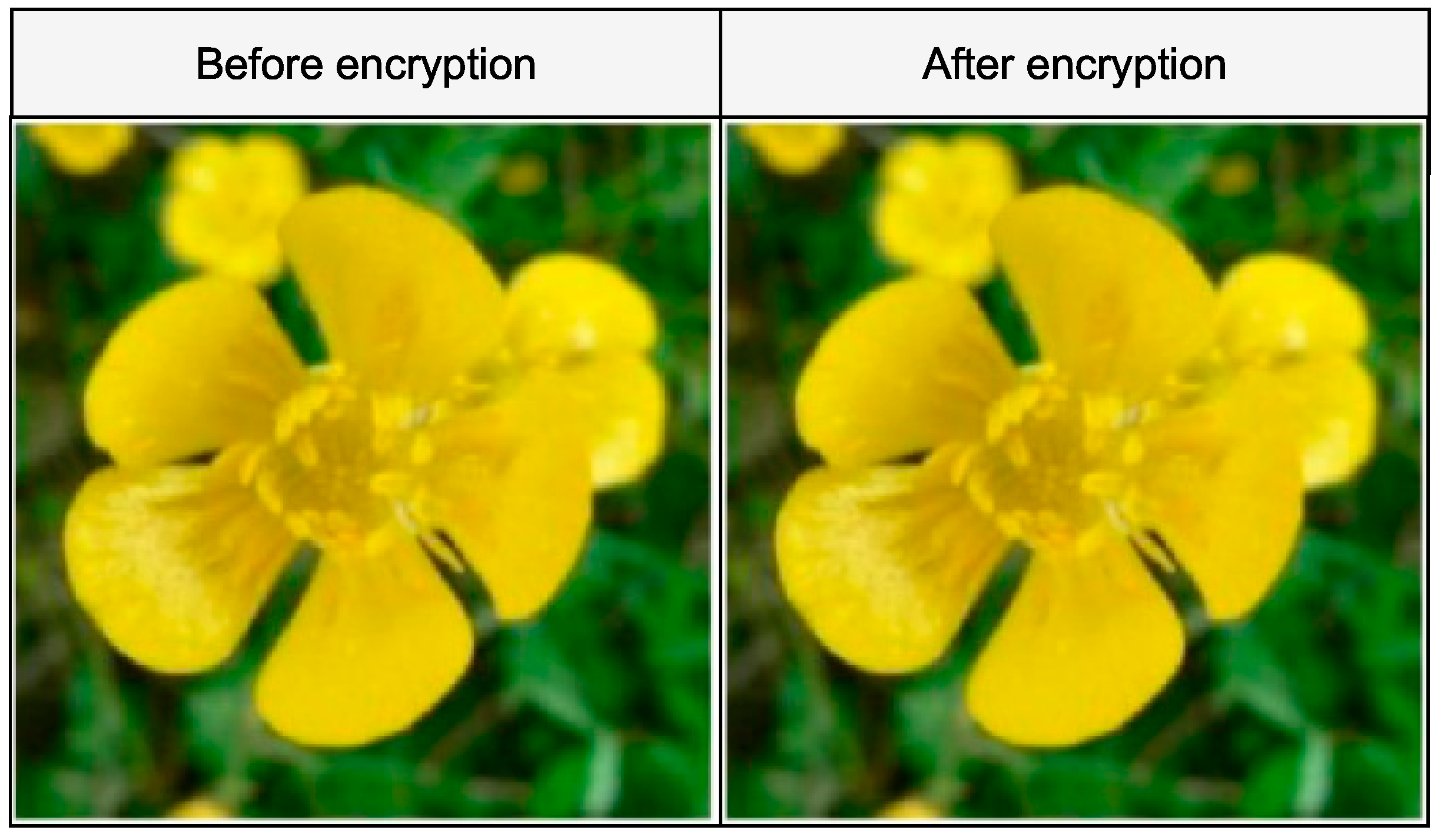 Applsci 12 05321 g013 550