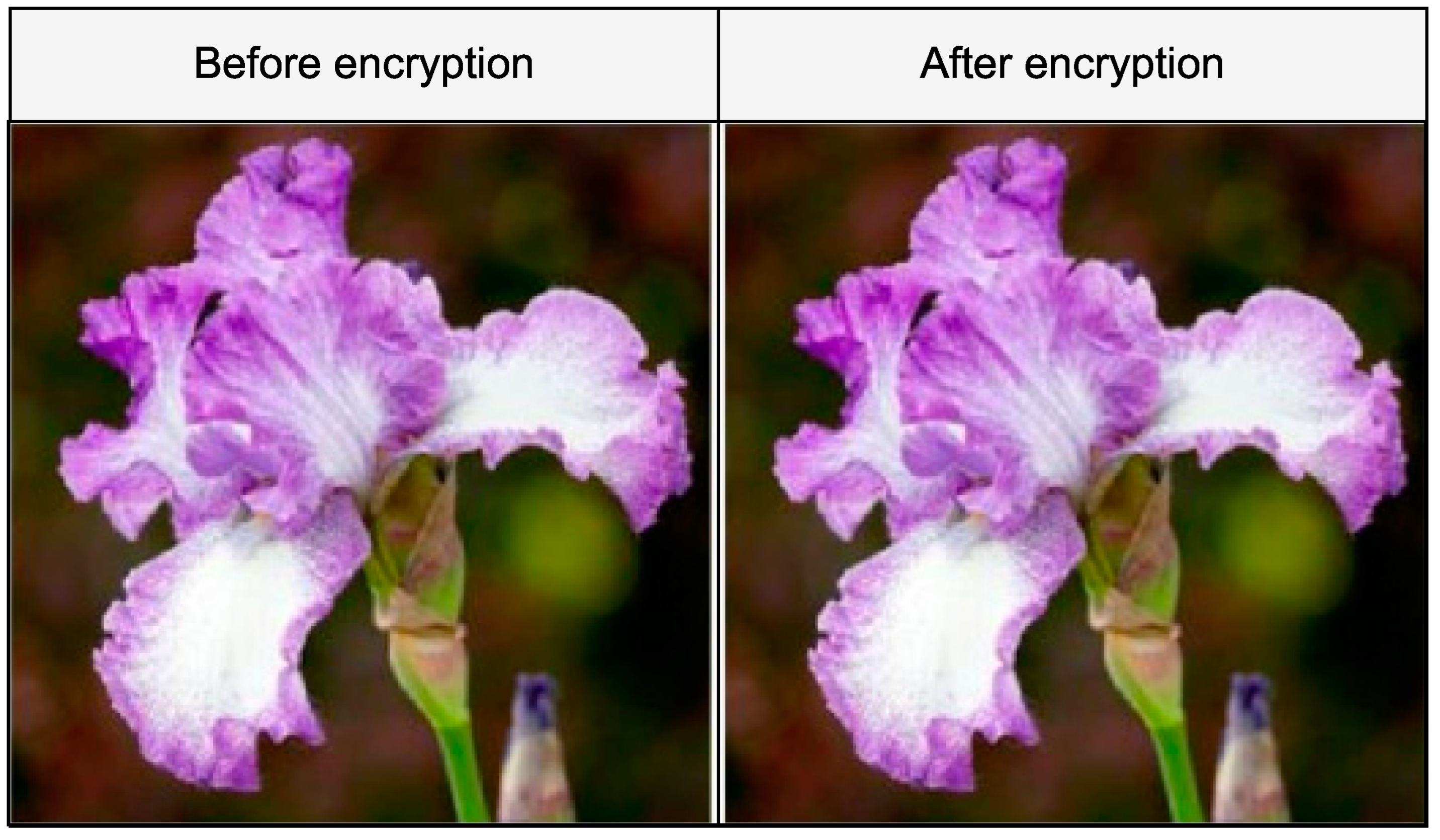 Applsci 12 05321 g016 550