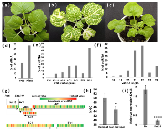 Applsci 12 05329 g002