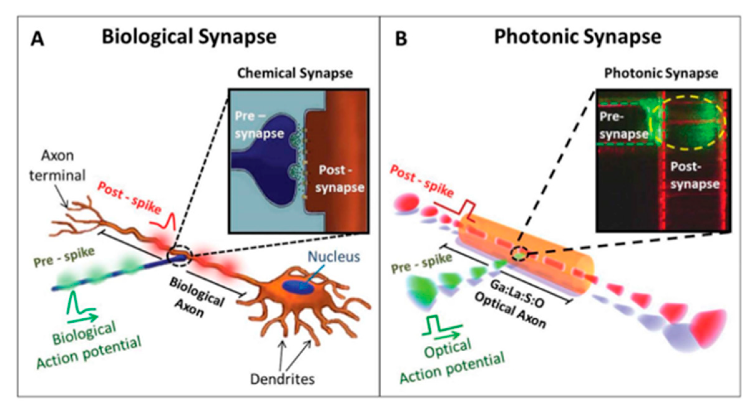 Applsci 12 05338 g003 550