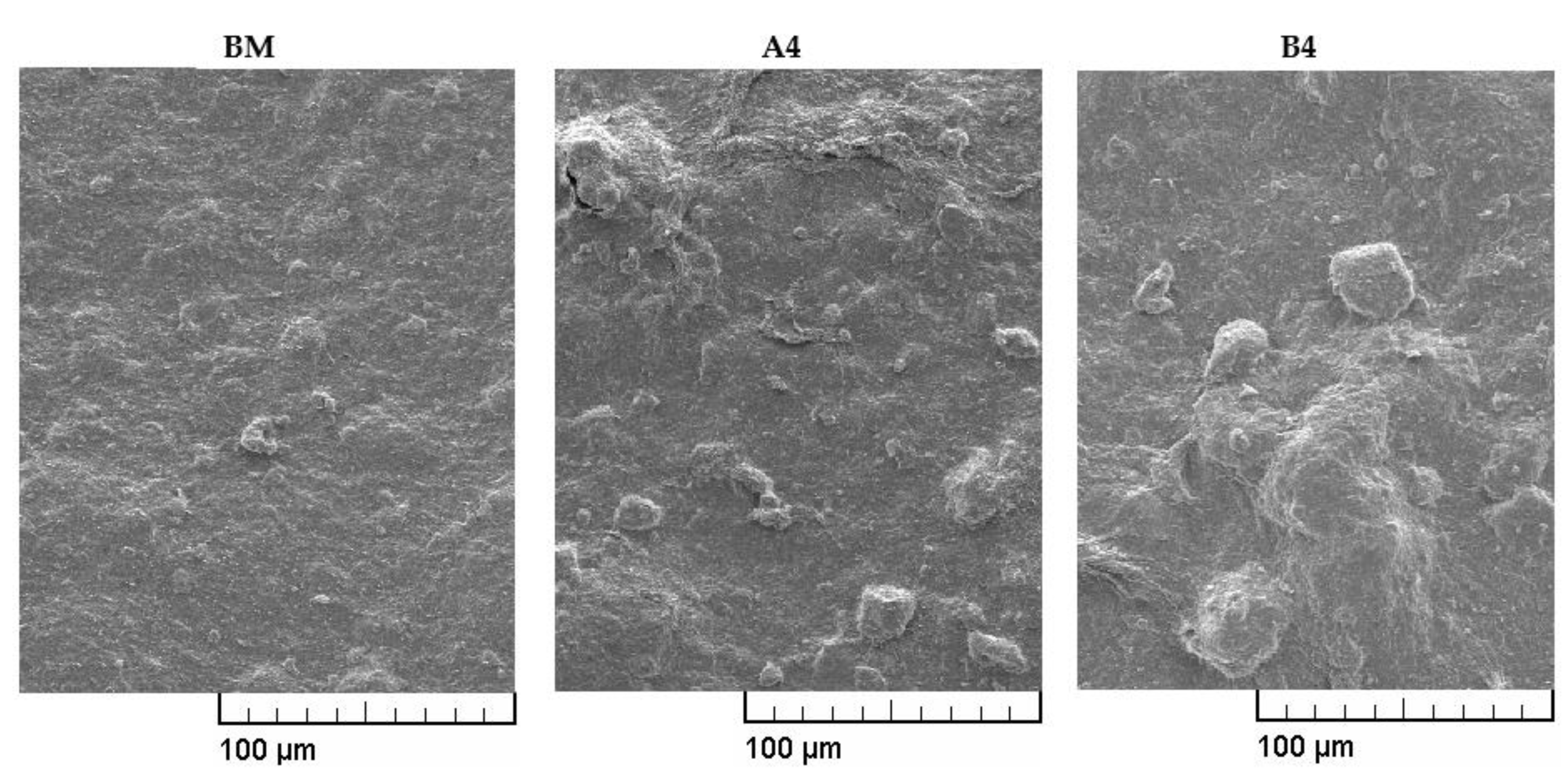 Applsci 12 05348 g006