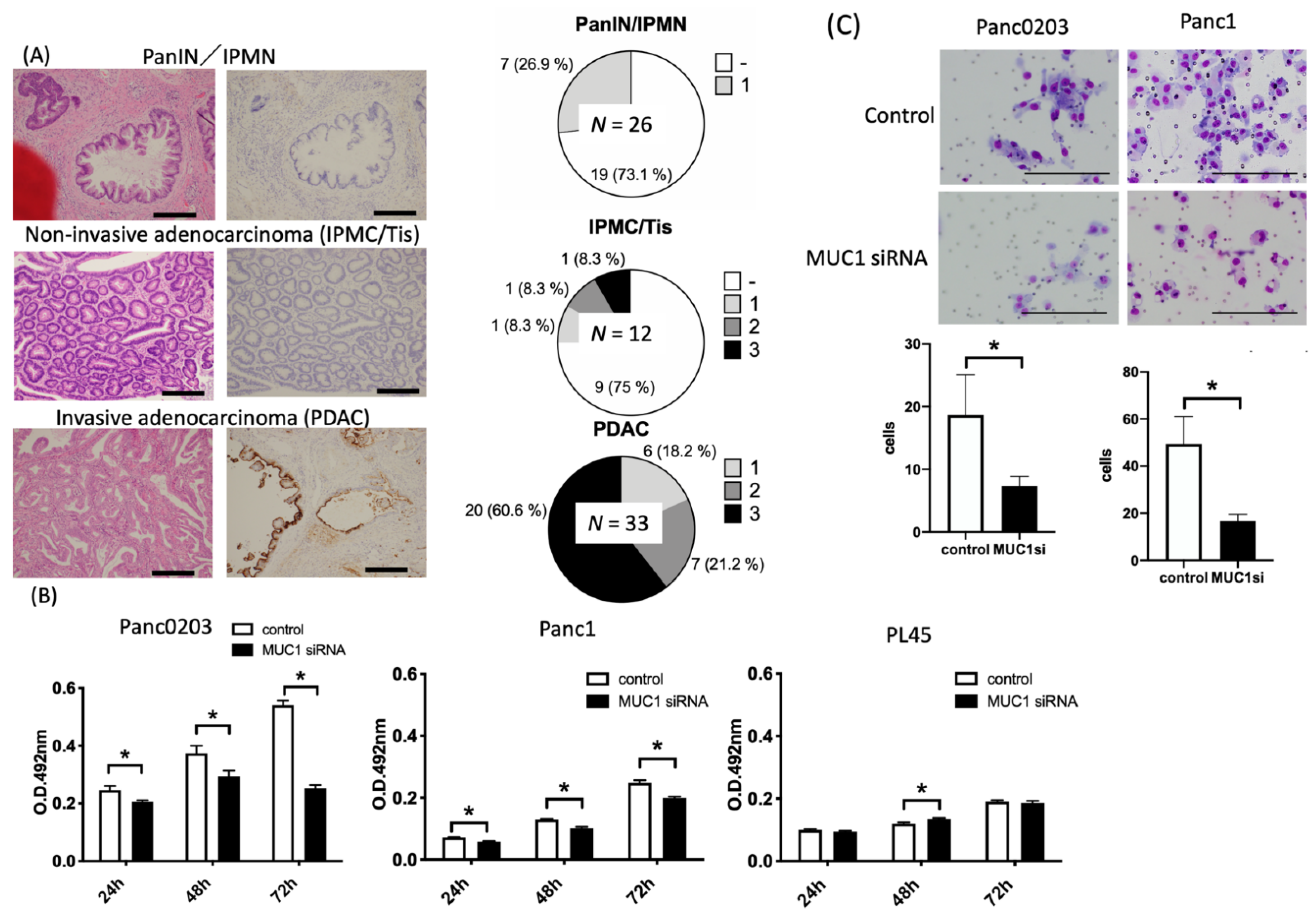 Applsci 12 05351 g001