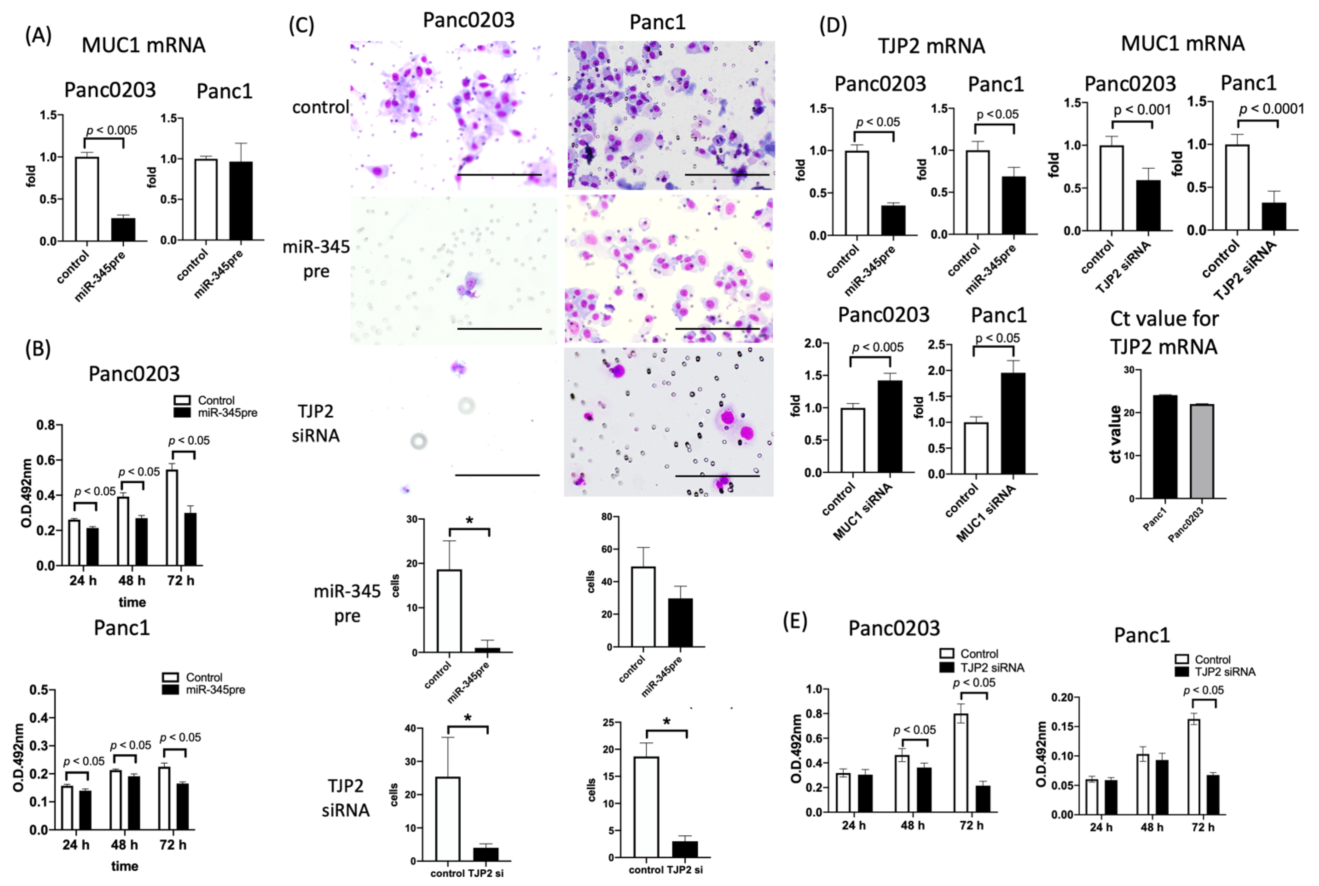 Applsci 12 05351 g003