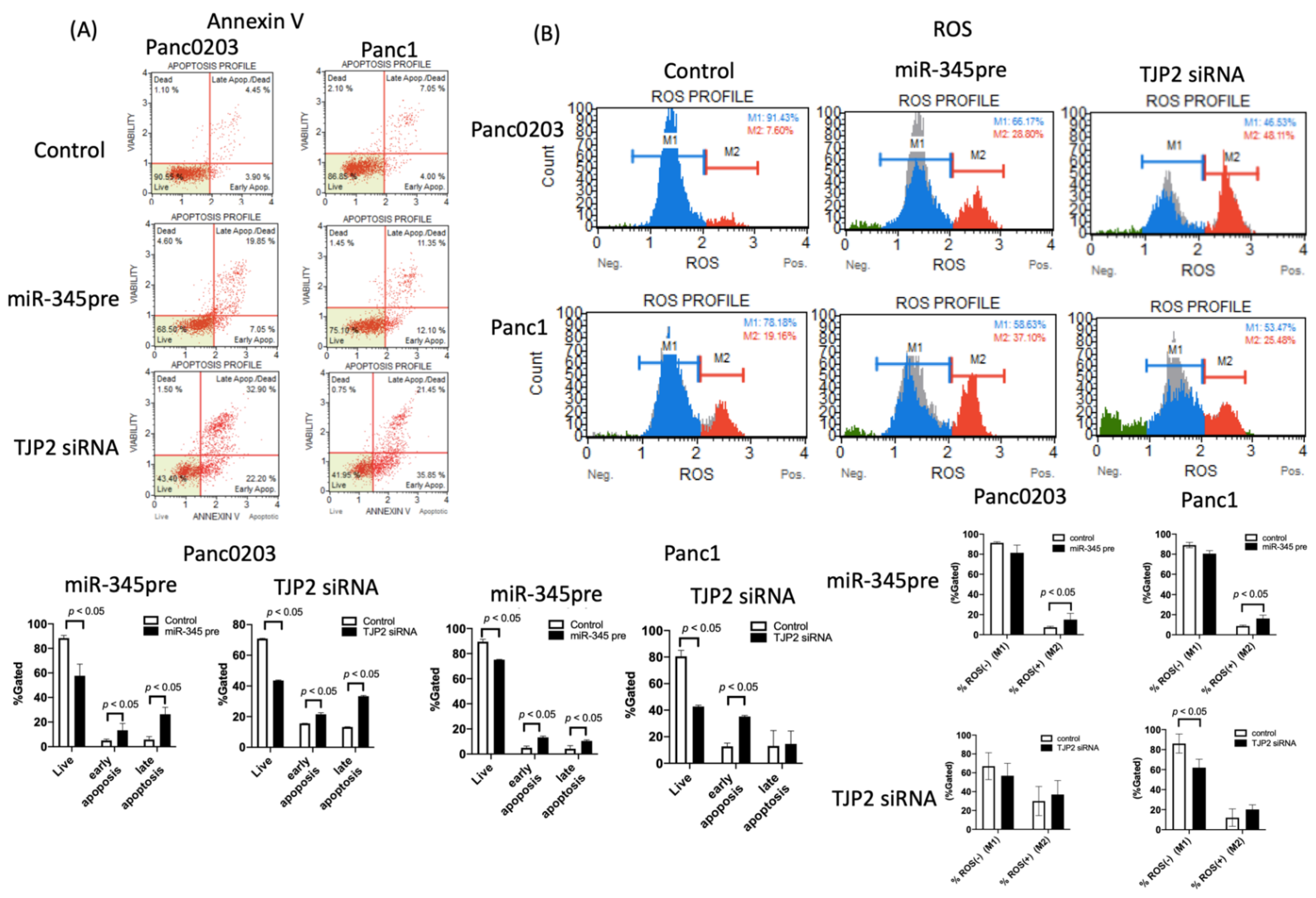Applsci 12 05351 g004