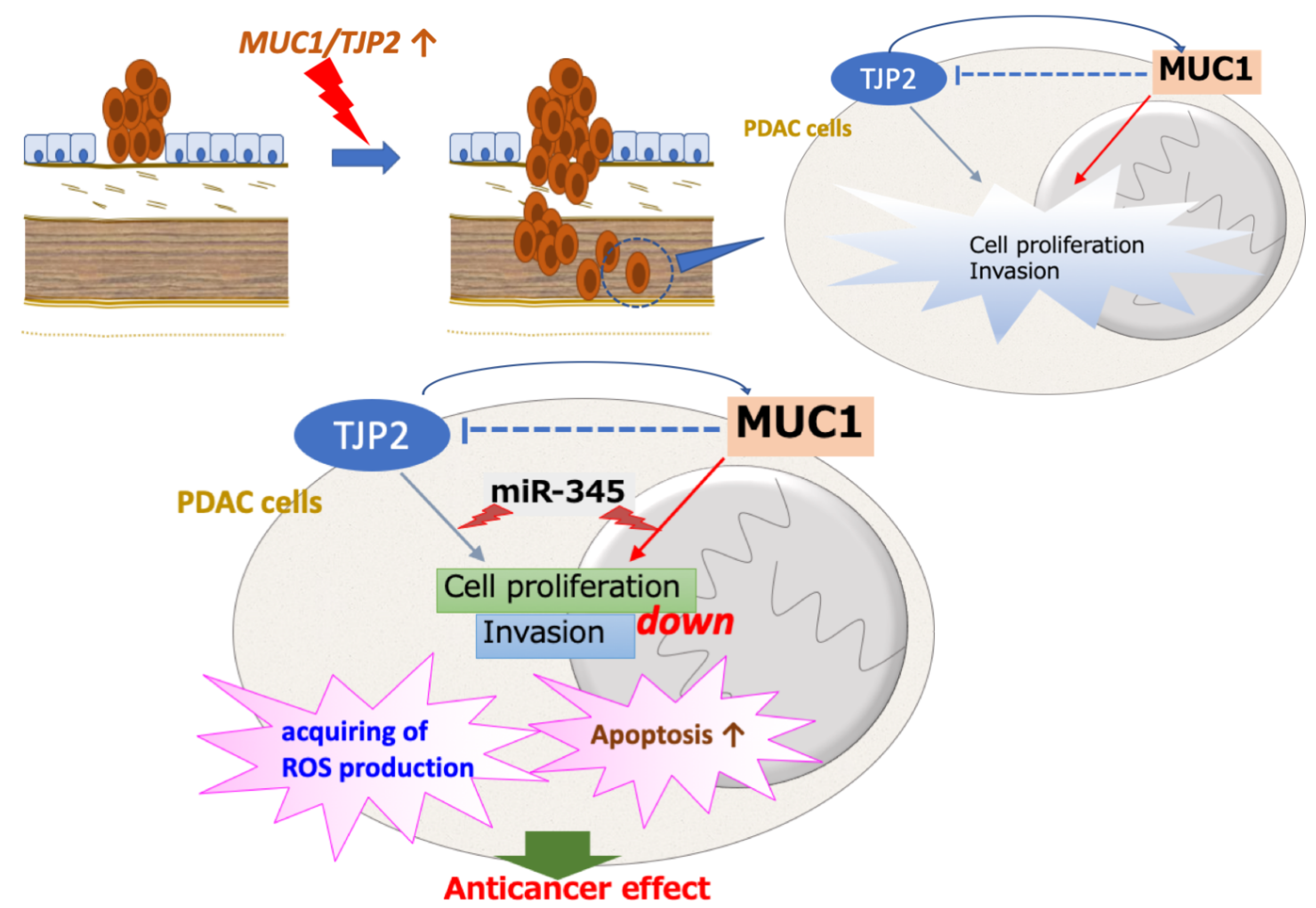Applsci 12 05351 g005