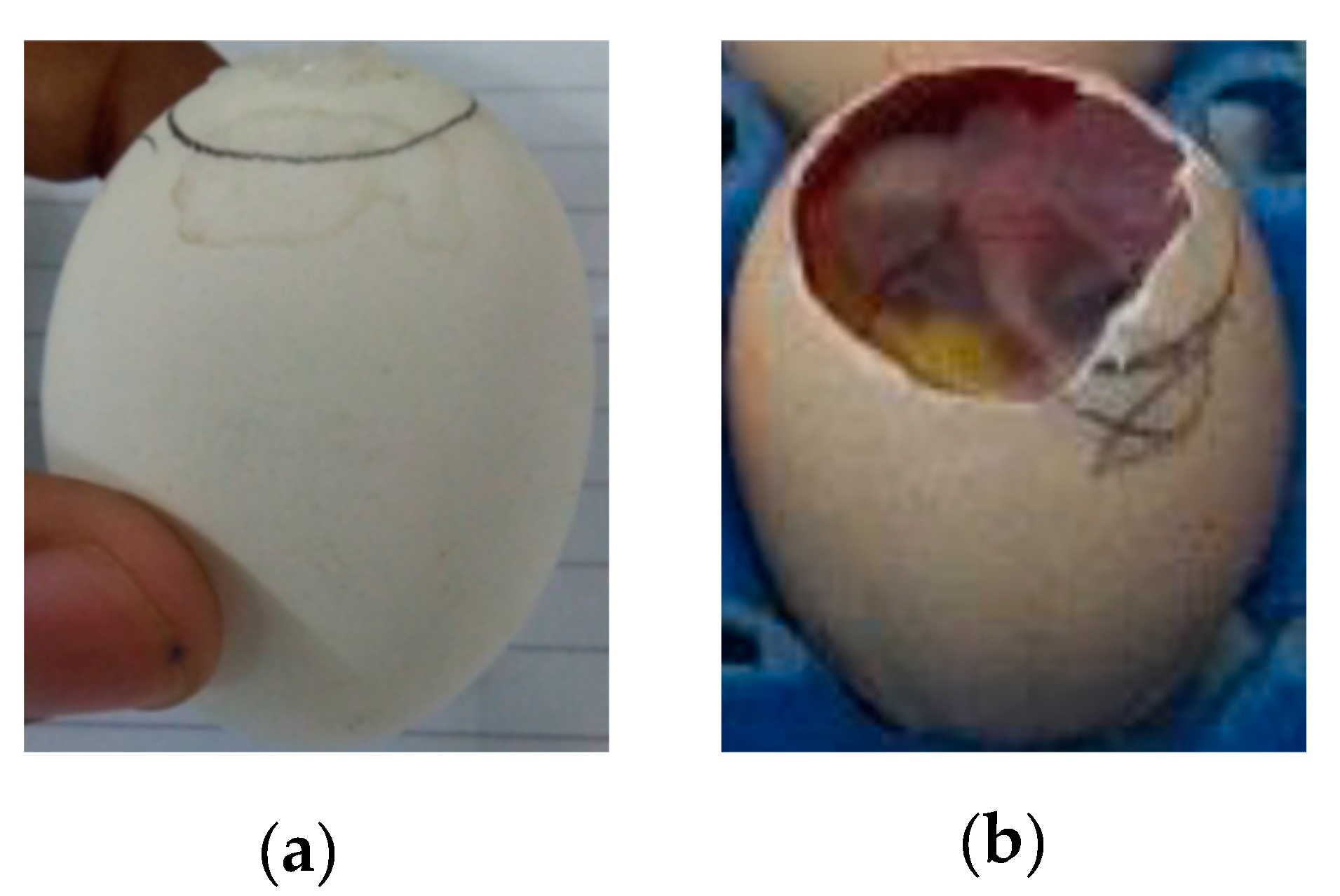 Applsci 12 05352 g002 550