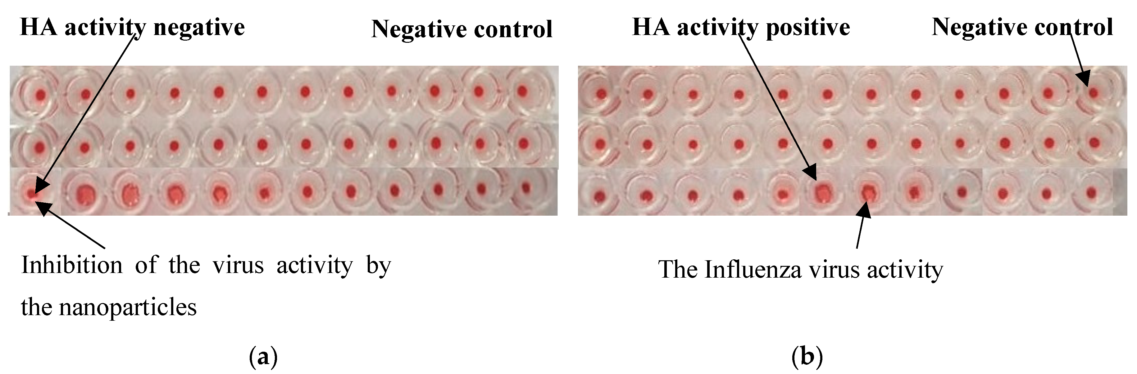 Applsci 12 05352 g003 550