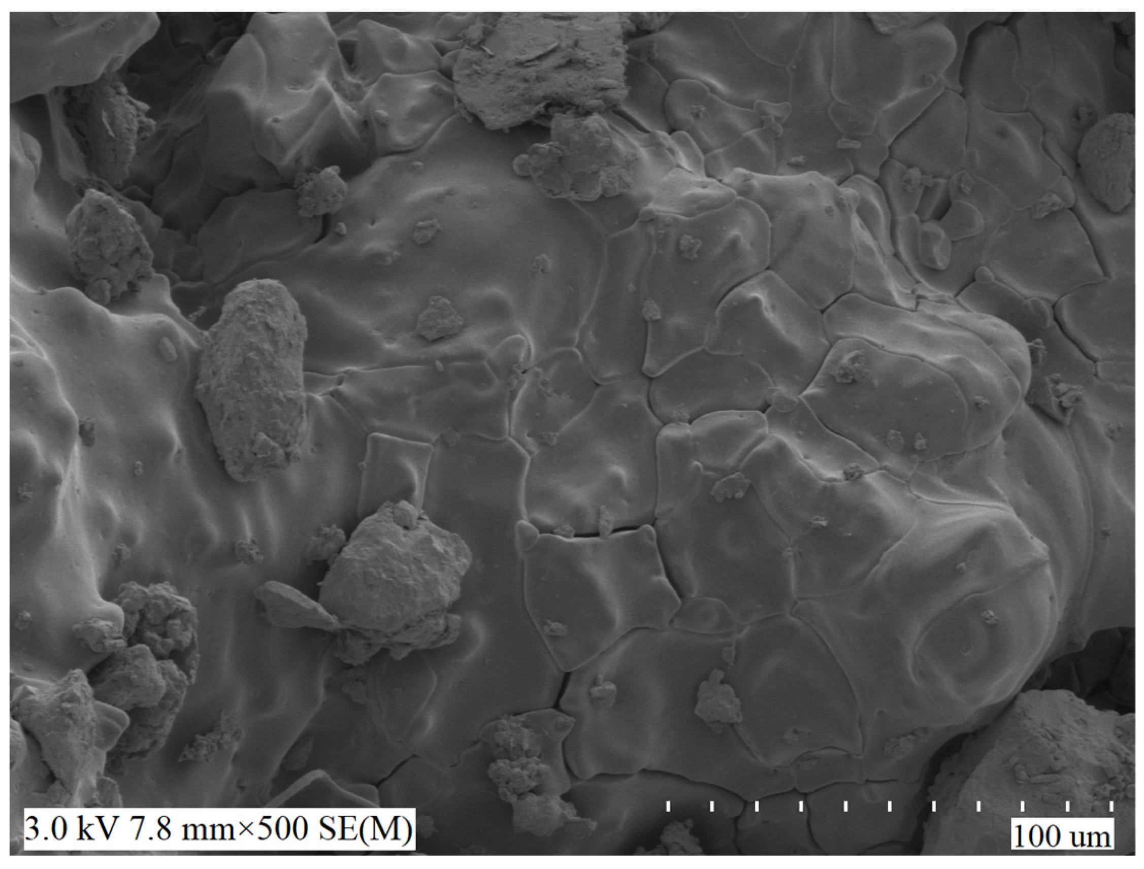 Applsci 12 05360 g015