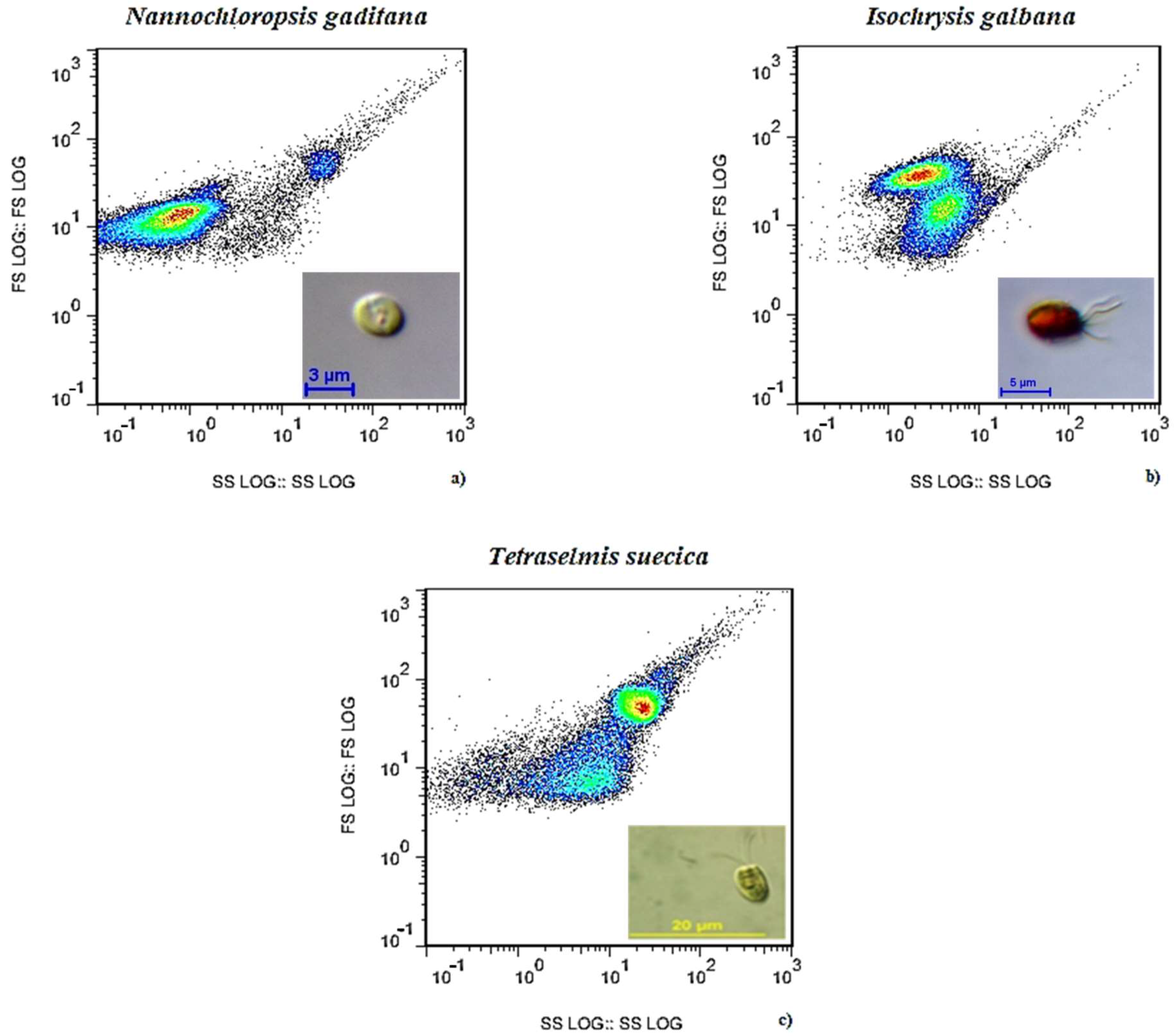 Applsci 12 05376 g008 550