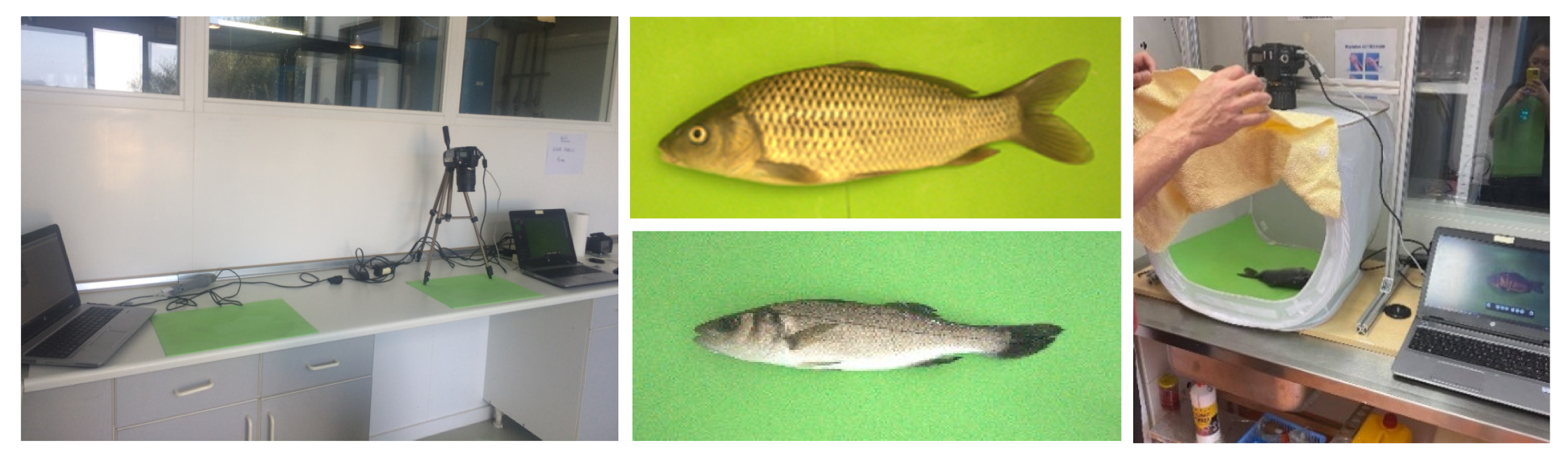 Applsci 12 05401 g002 Applsci 12 05401 g002