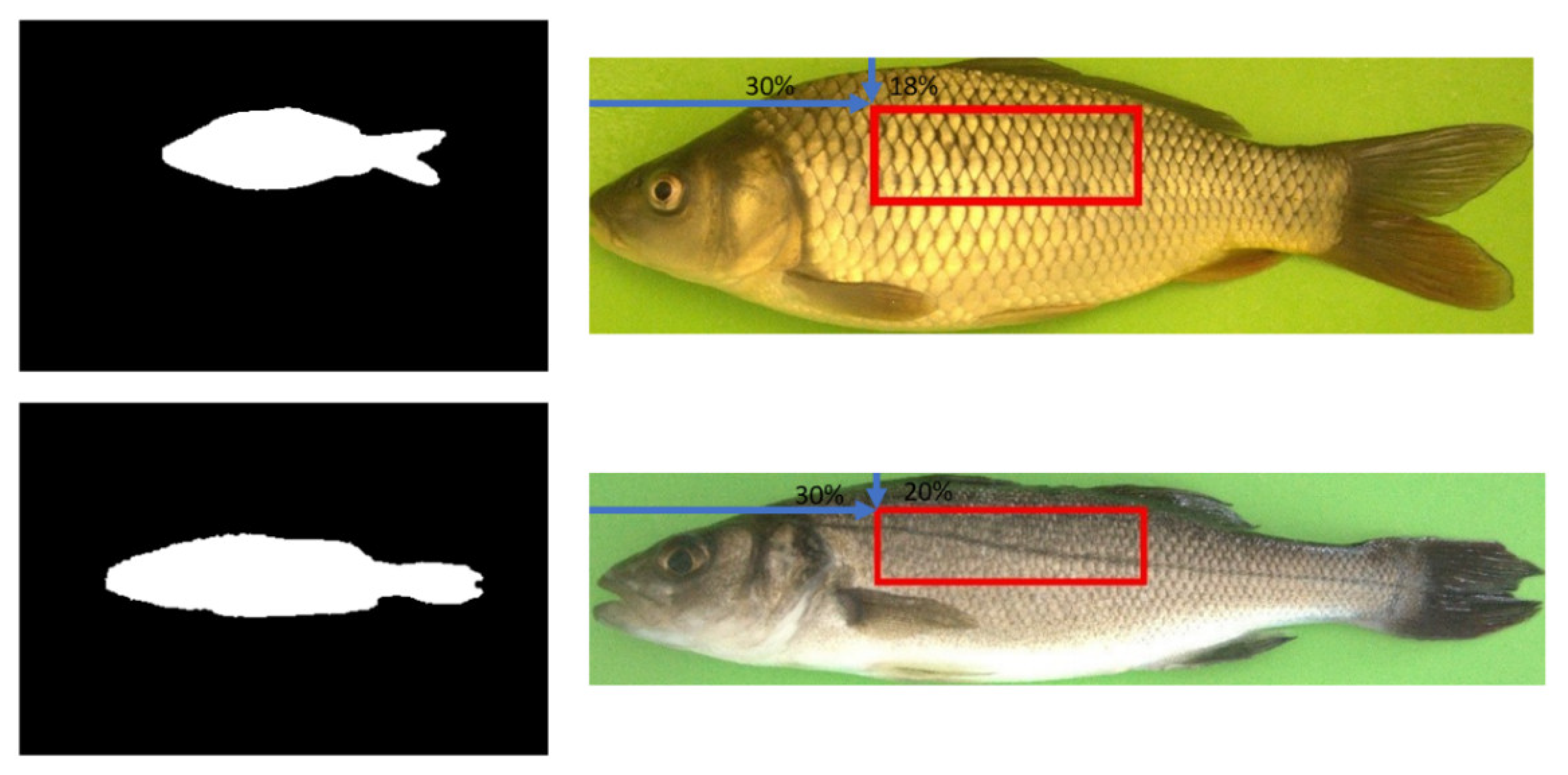 Applsci 12 05401 g004 Applsci 12 05401 g004