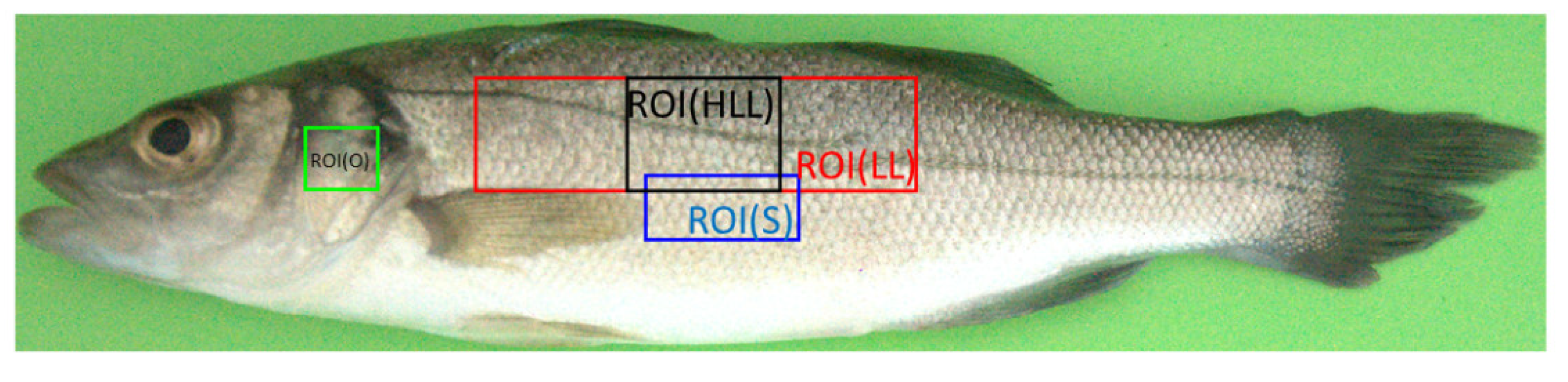 Applsci 12 05401 g005 Applsci 12 05401 g005