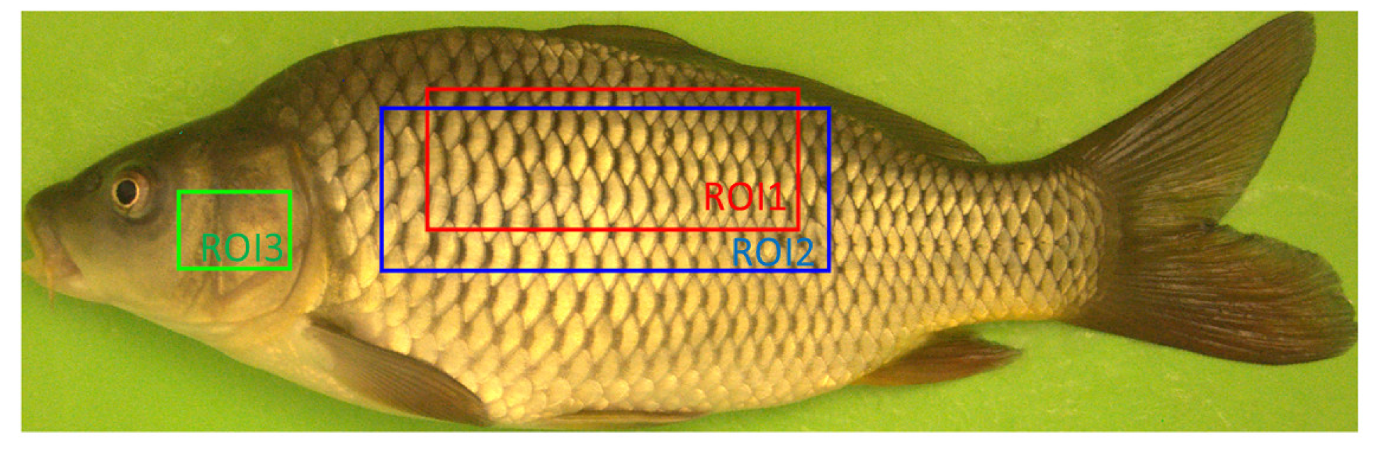 Applsci 12 05401 g006 Applsci 12 05401 g006