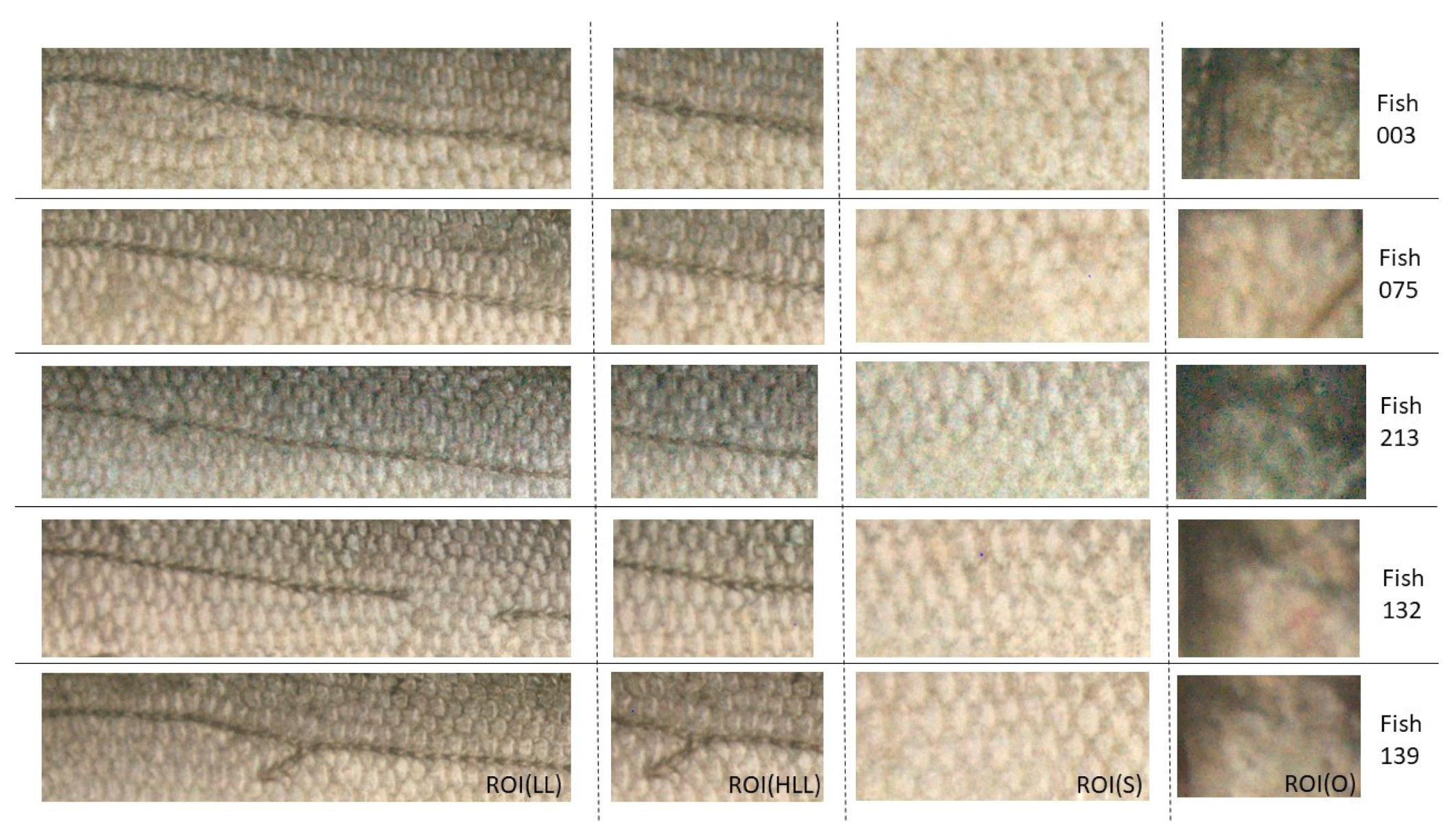 Applsci 12 05401 g008 Applsci 12 05401 g008