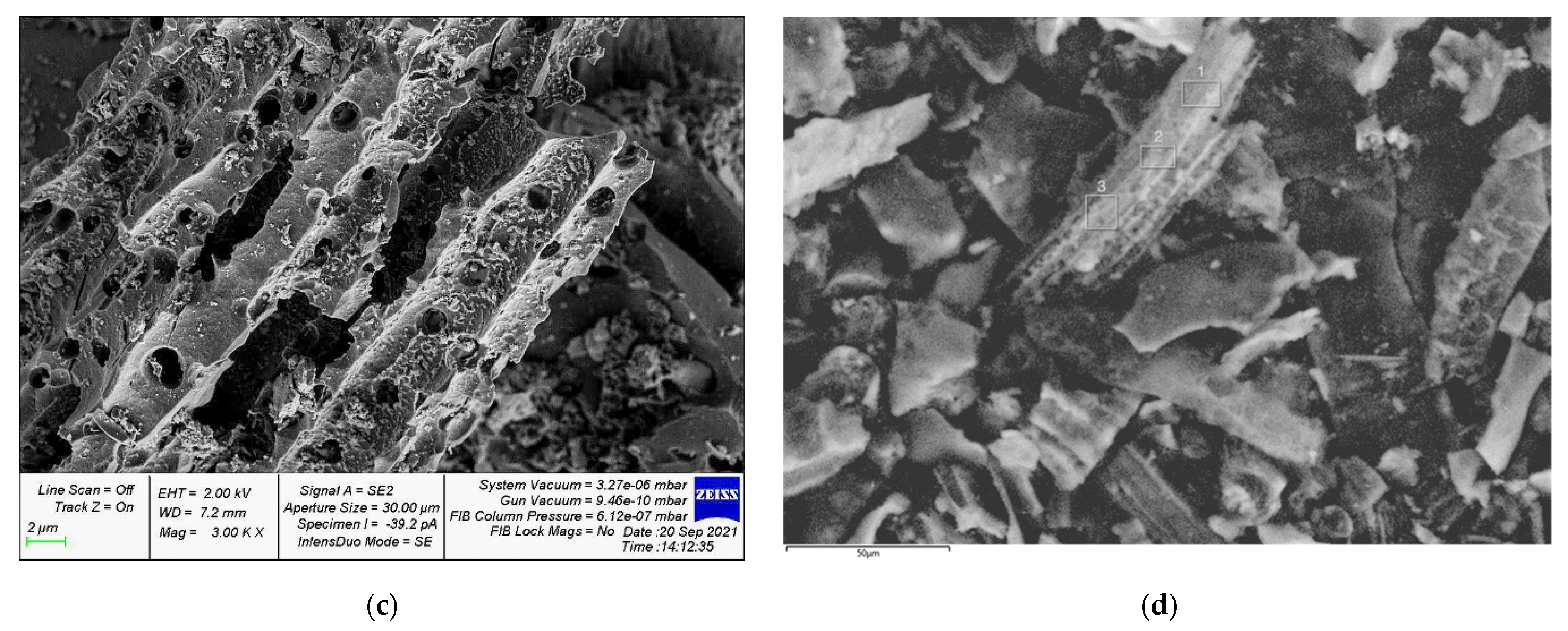 Applsci 12 05480 g005b