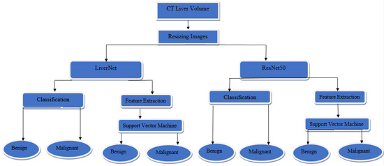 Applied Sciences | Free Full-Text | LiverNet: Diagnosis of Liver Tumors ...