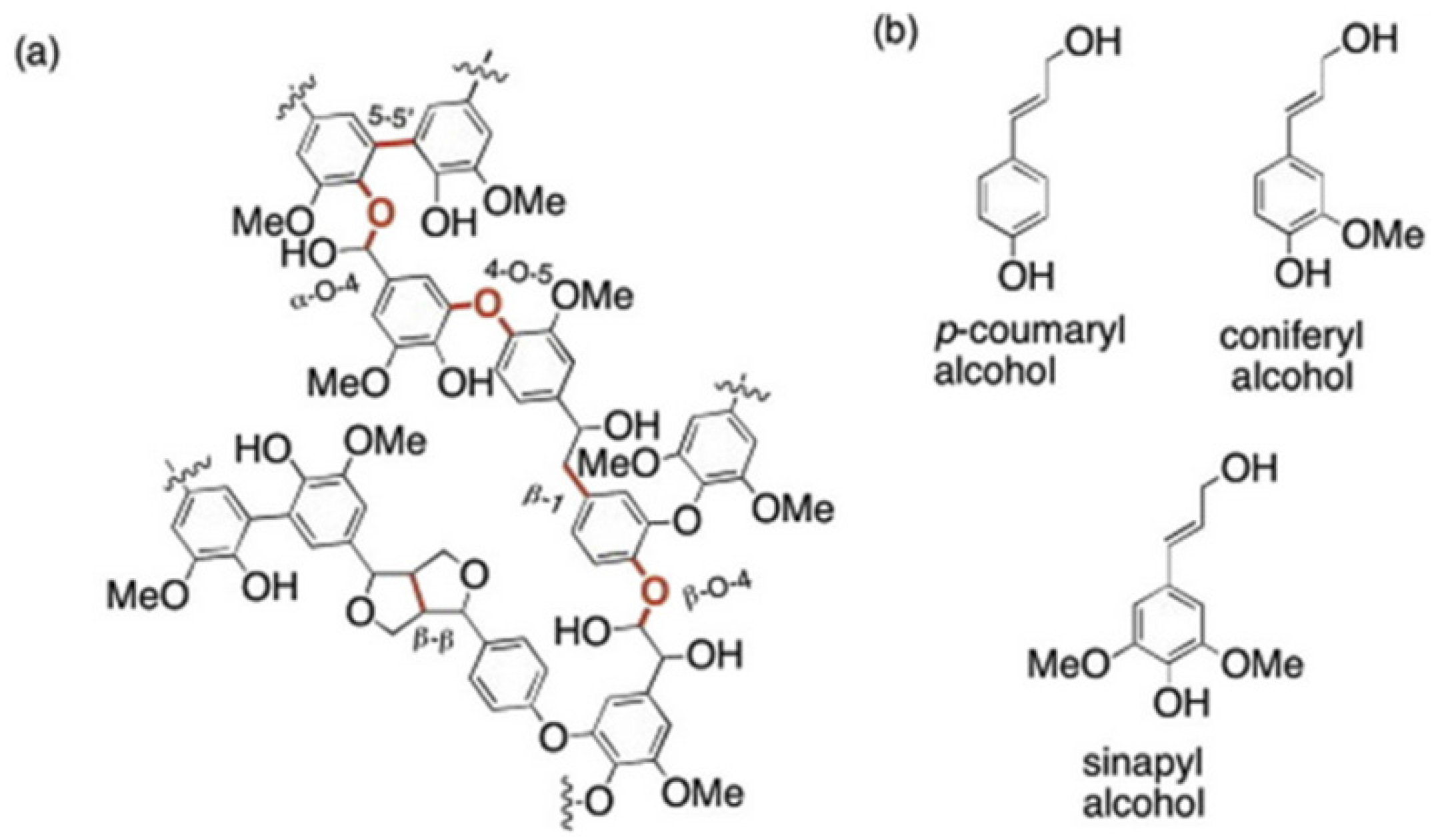 Applsci 12 05517 g001 550