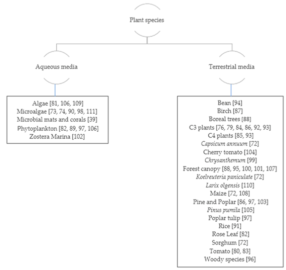 Applsci 12 05537 g006