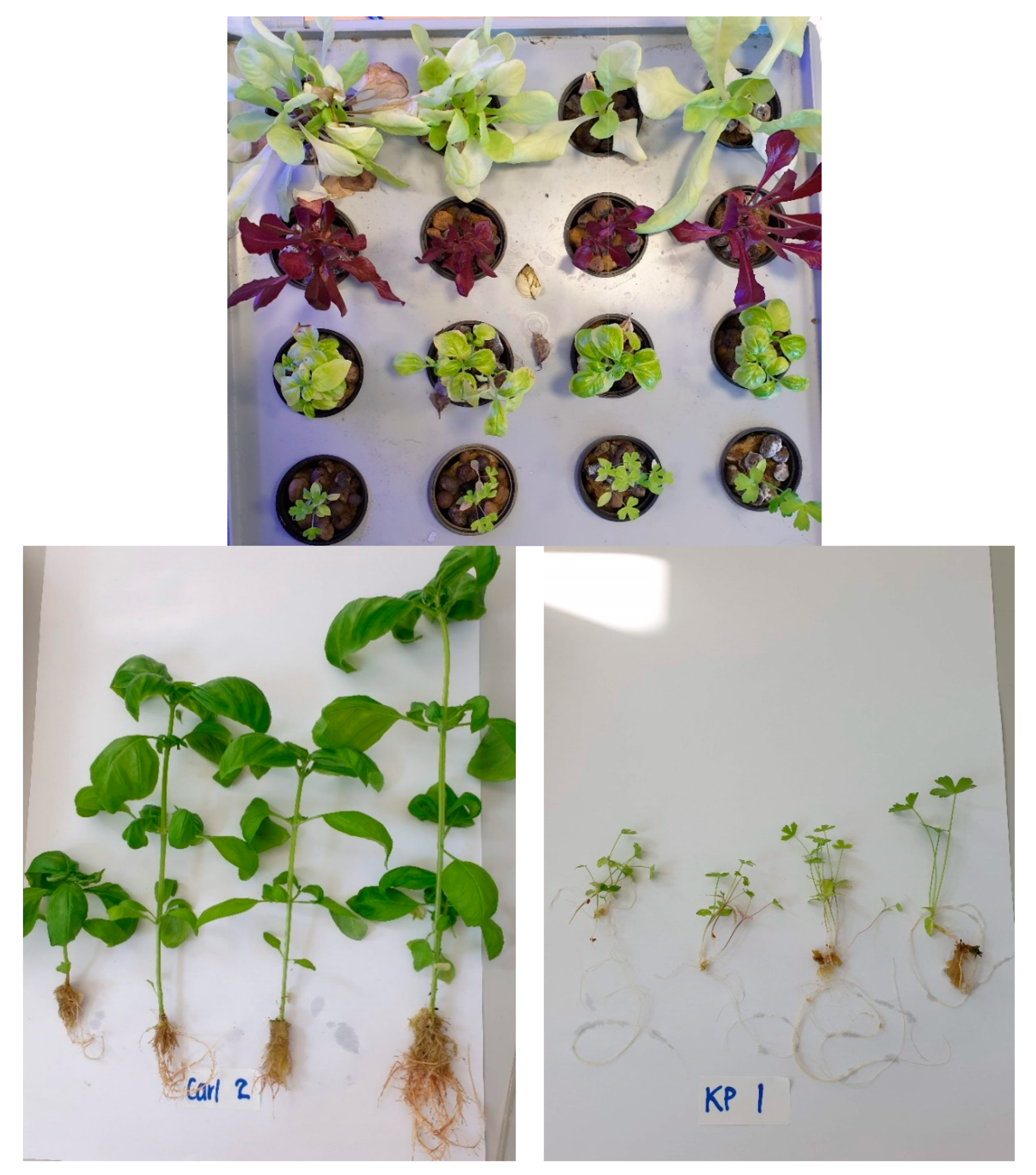 Applsci 12 05539 g016