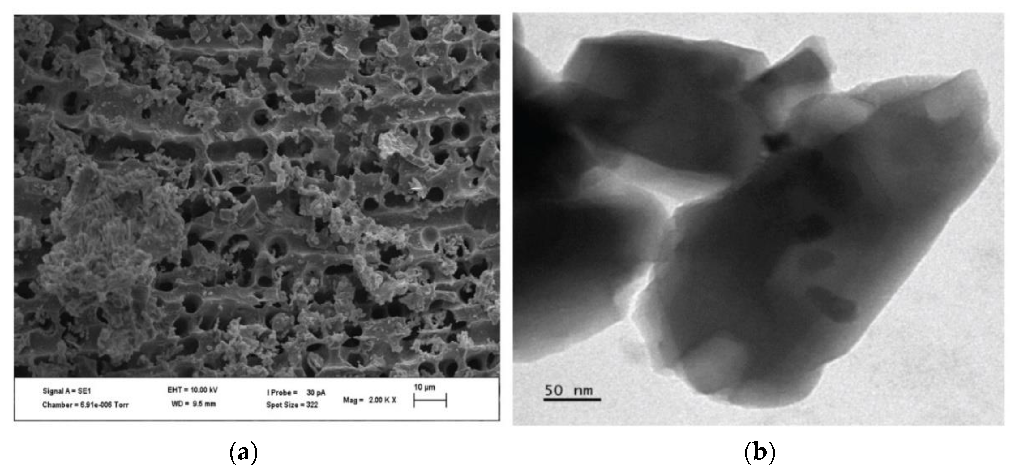 Applsci 12 05542 g003