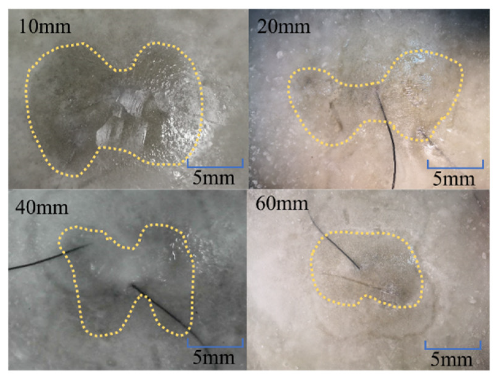 Applsci 12 05551 g008